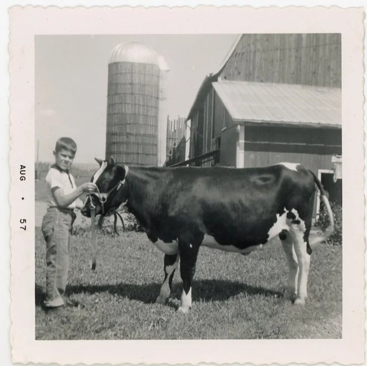 A young boy standing outdoors on grass, holding a rope attached to a cow, with a barn and silo in the background on a farm.