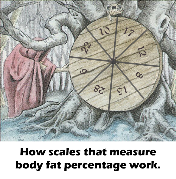 Stop Measuring Body Fat