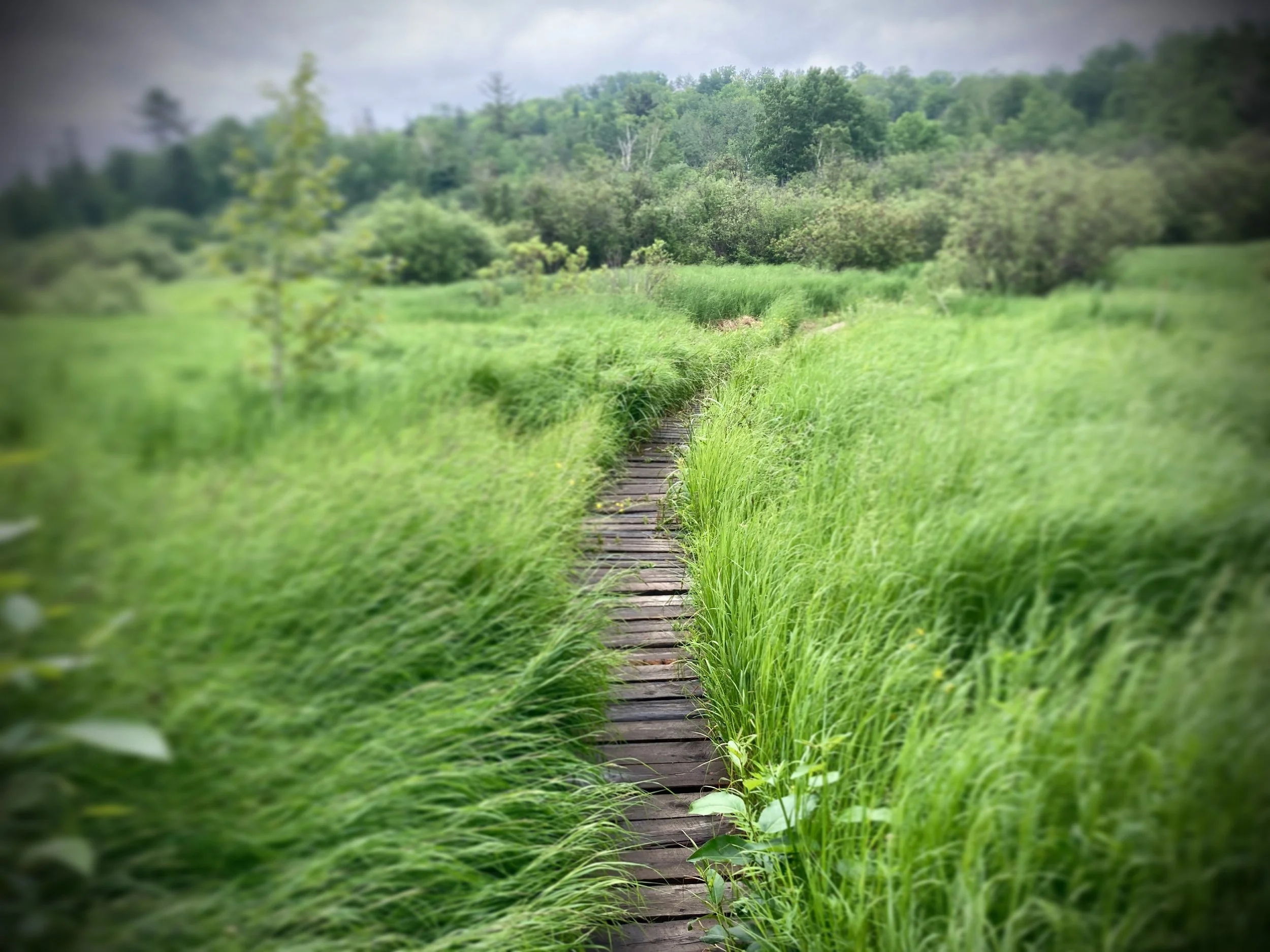 hartley nature center, minnesota