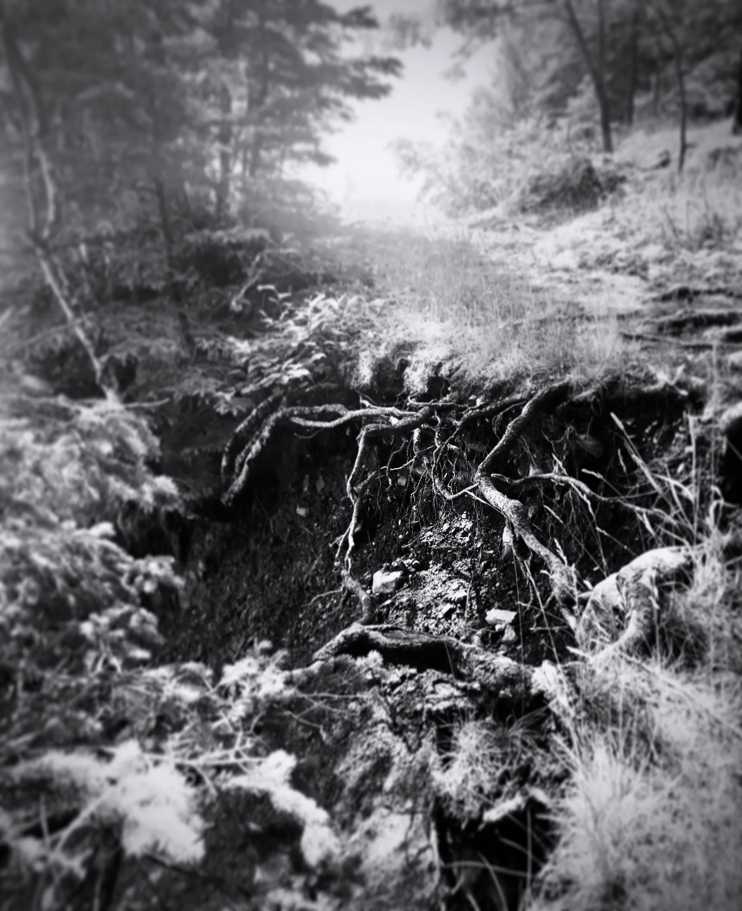 sonju trail, two harbors, minnesota