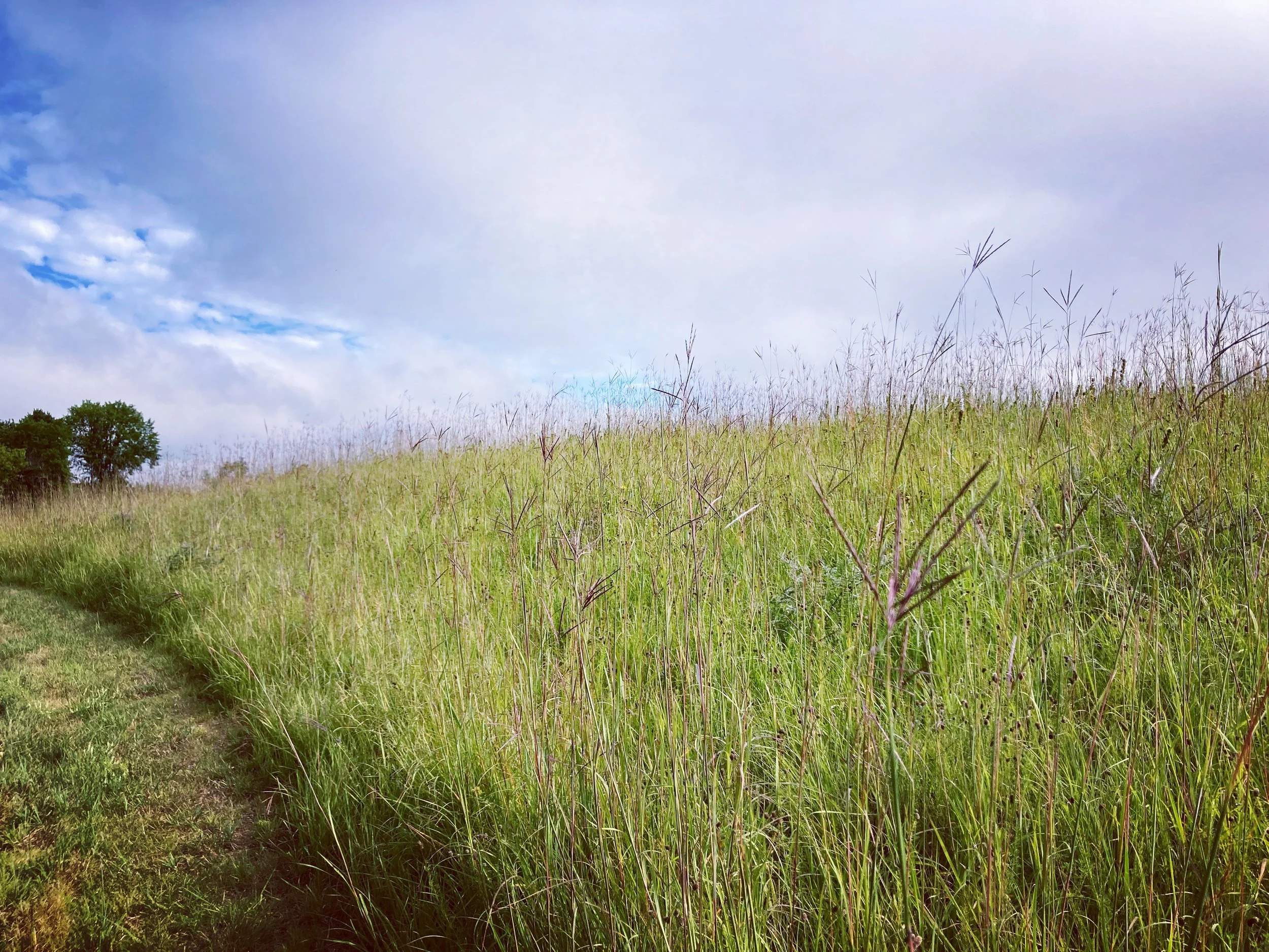 ney nature center, minnesota