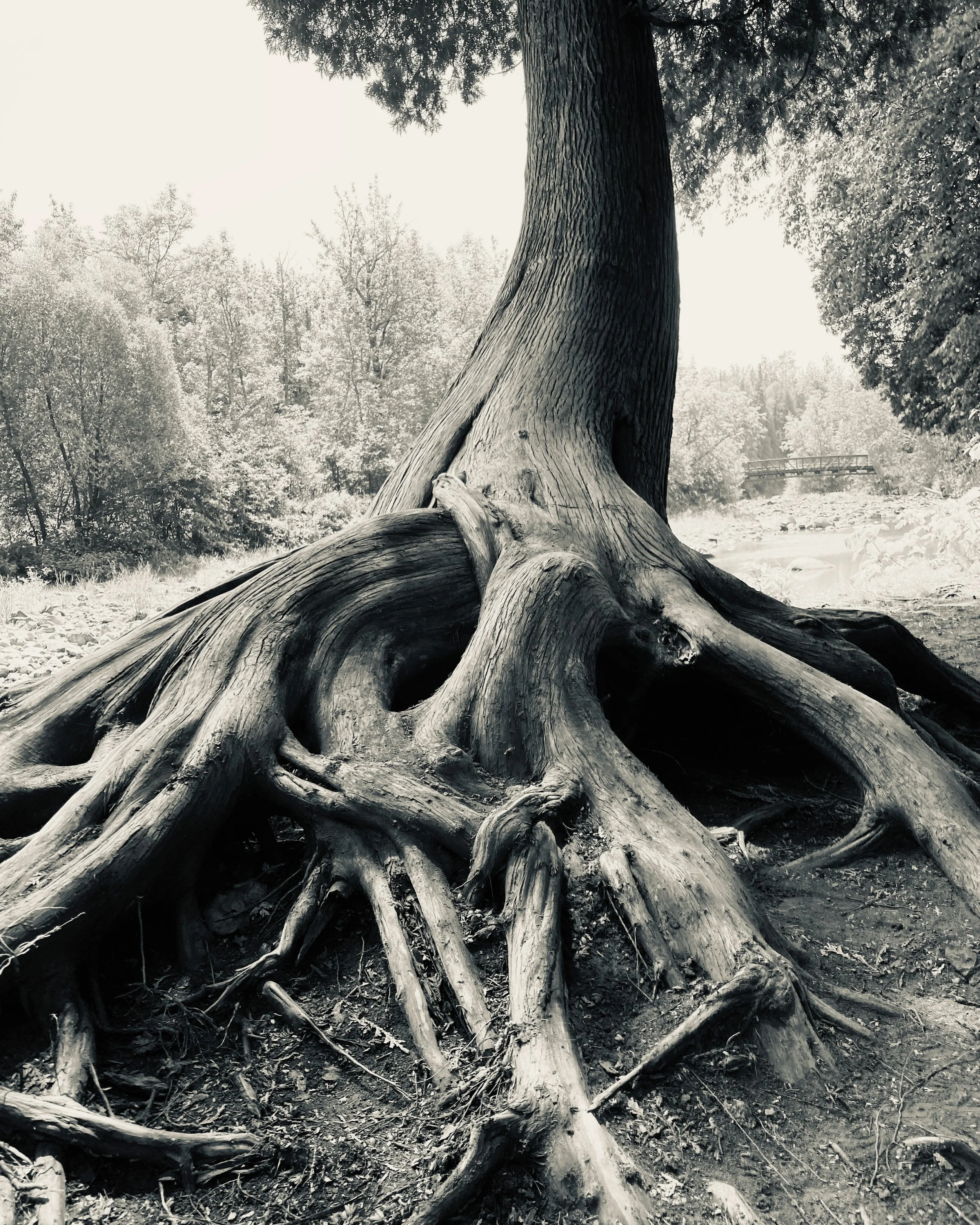 gooseberry falls state park, minnesota