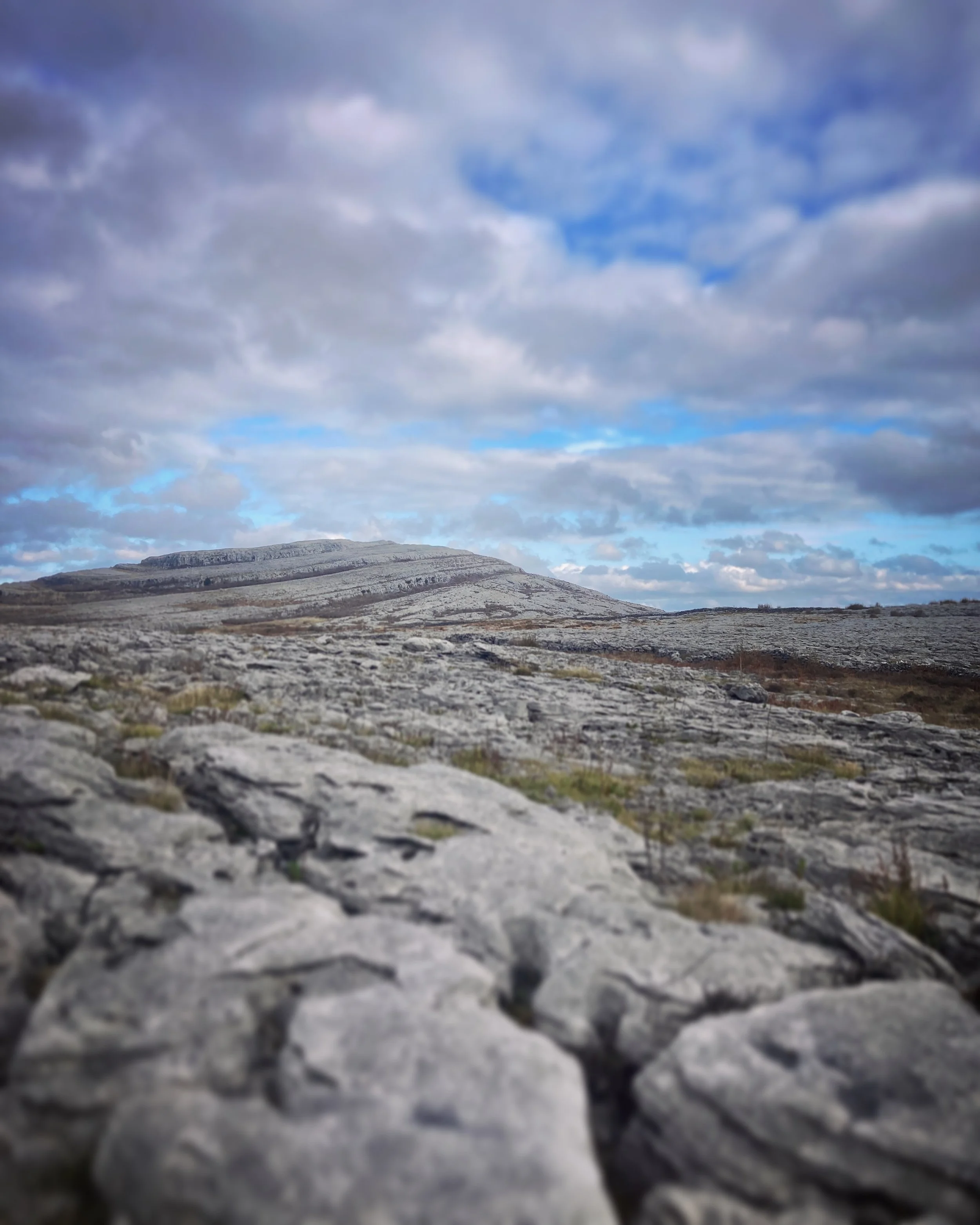 burren national park, co. clare, ireland
