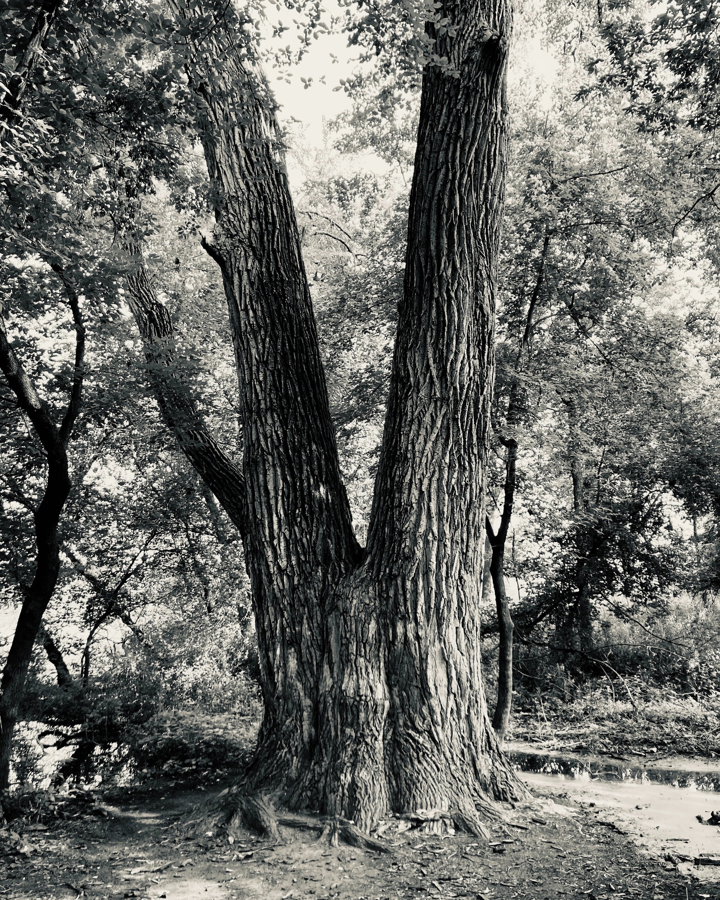 willow river state park, wisconsin 