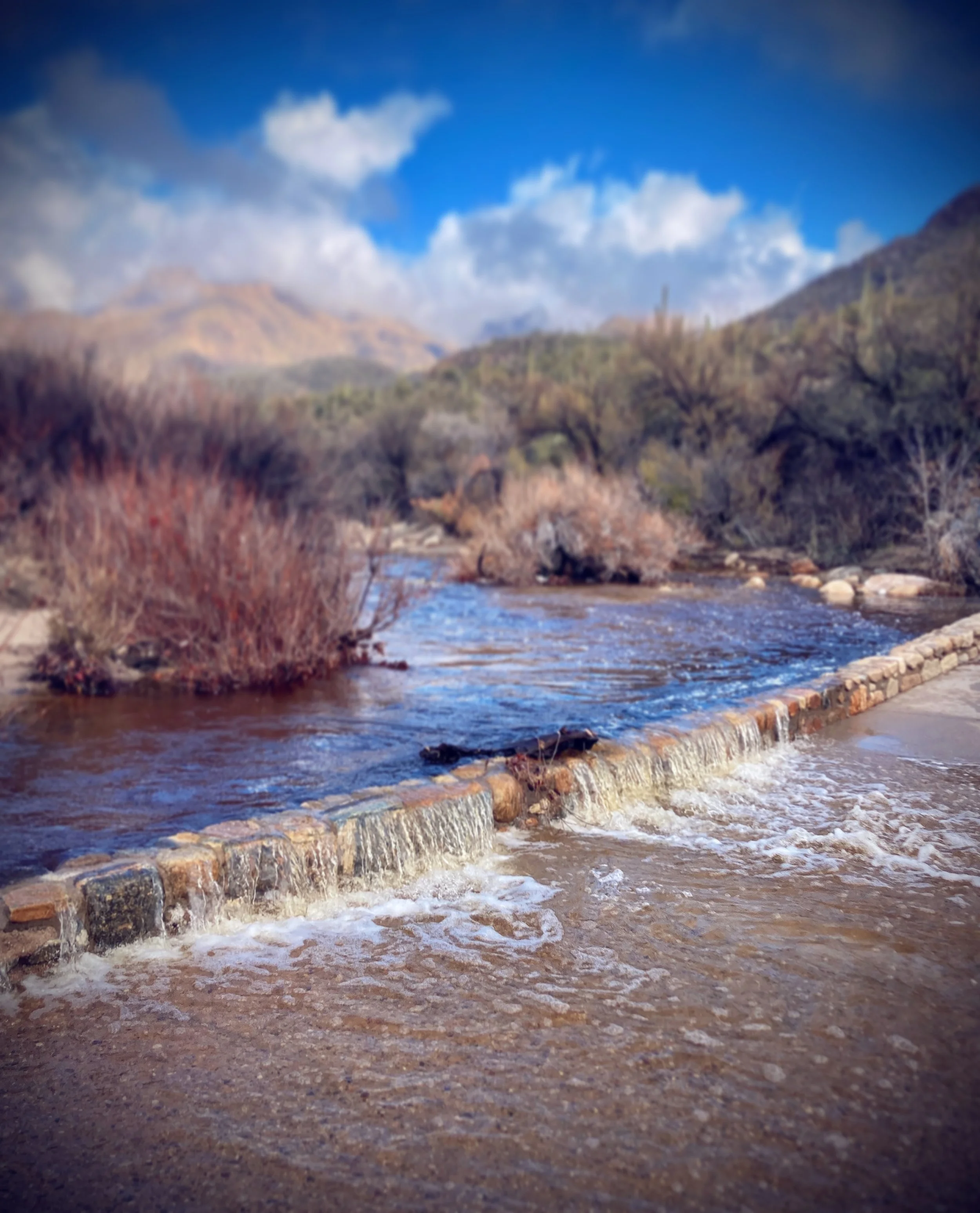 sabino creek, arizona