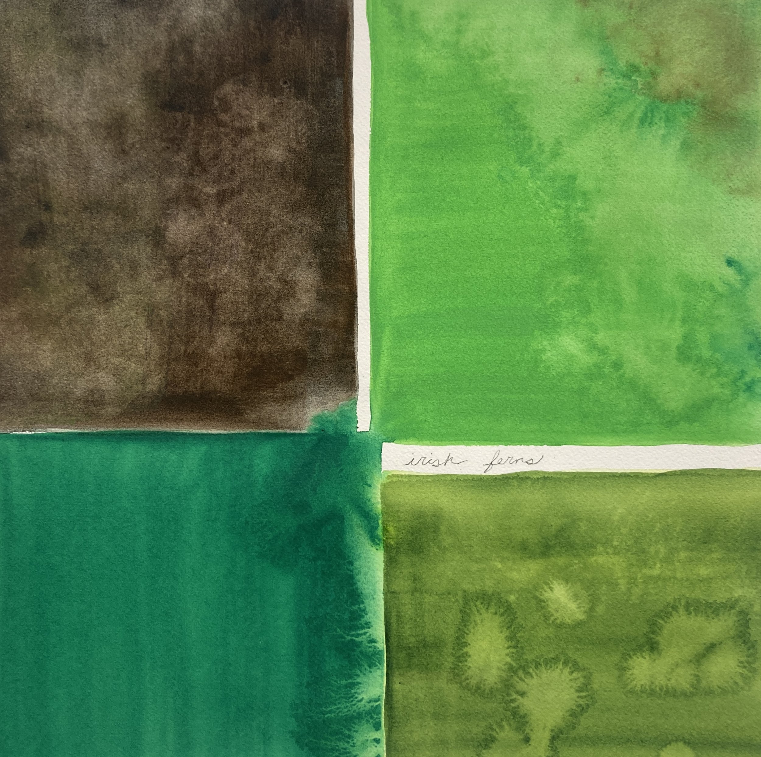 Irish ferns, water from Annaghmakerrig Lake and watercolor on paper