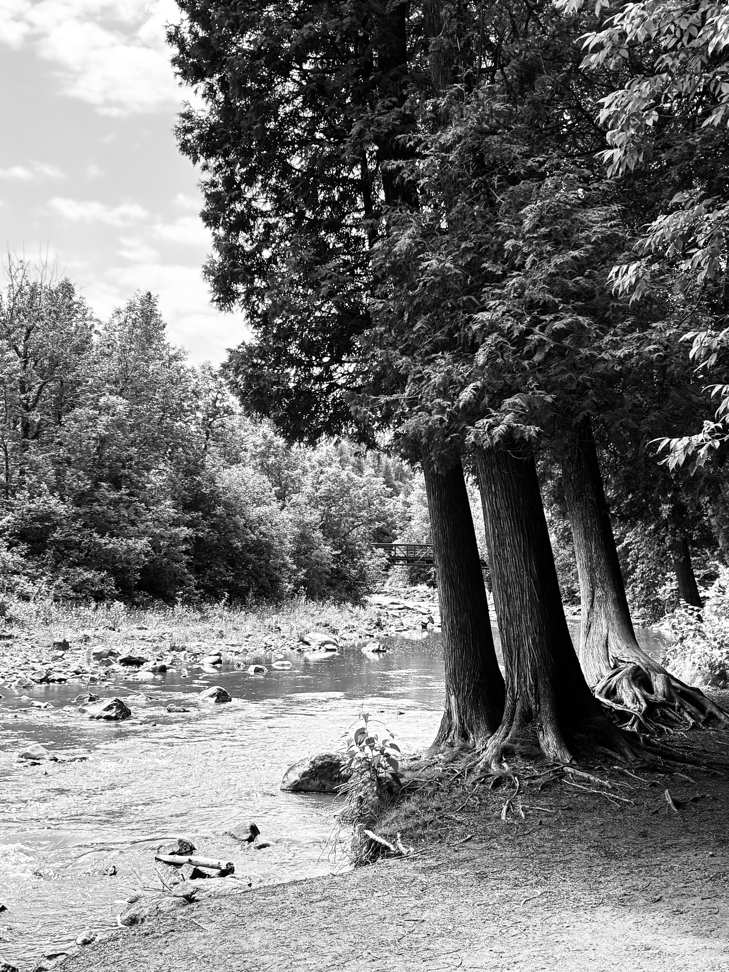 gooseberry falls state park, minnesota