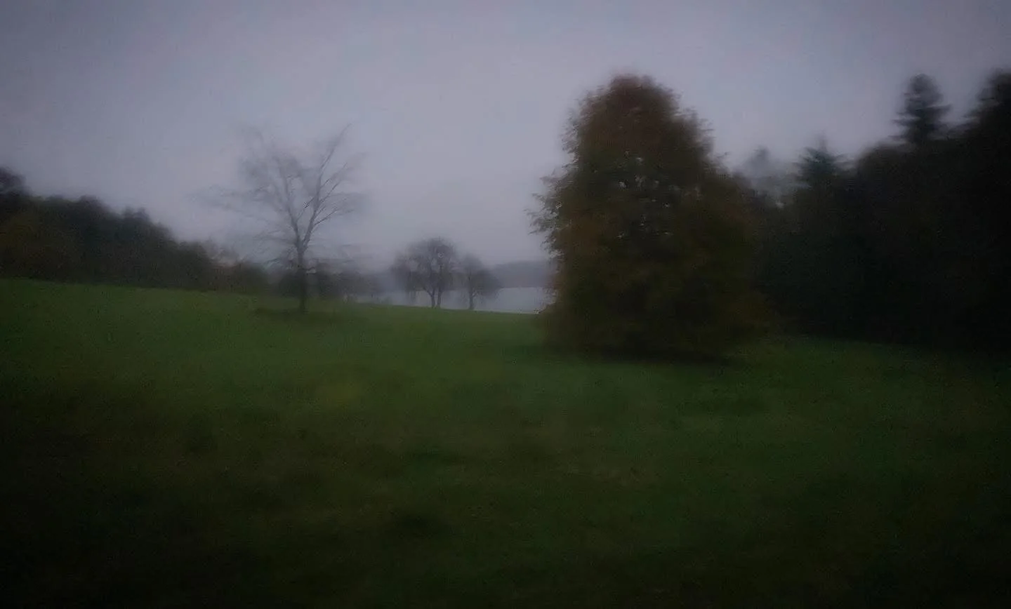 tyrone guthrie centre at annaghmakerrig, ireland