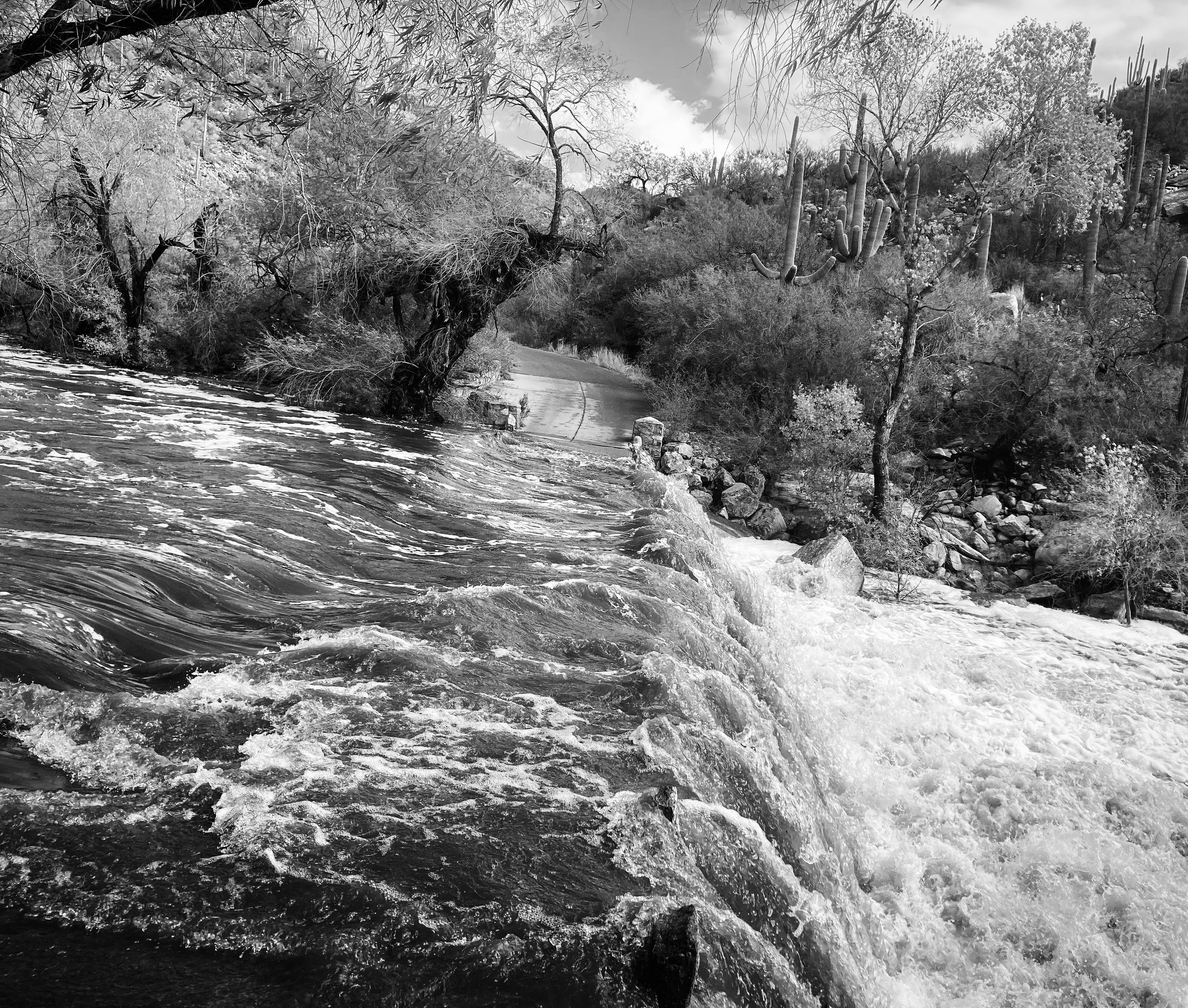 sabino creek, tucson, arizona