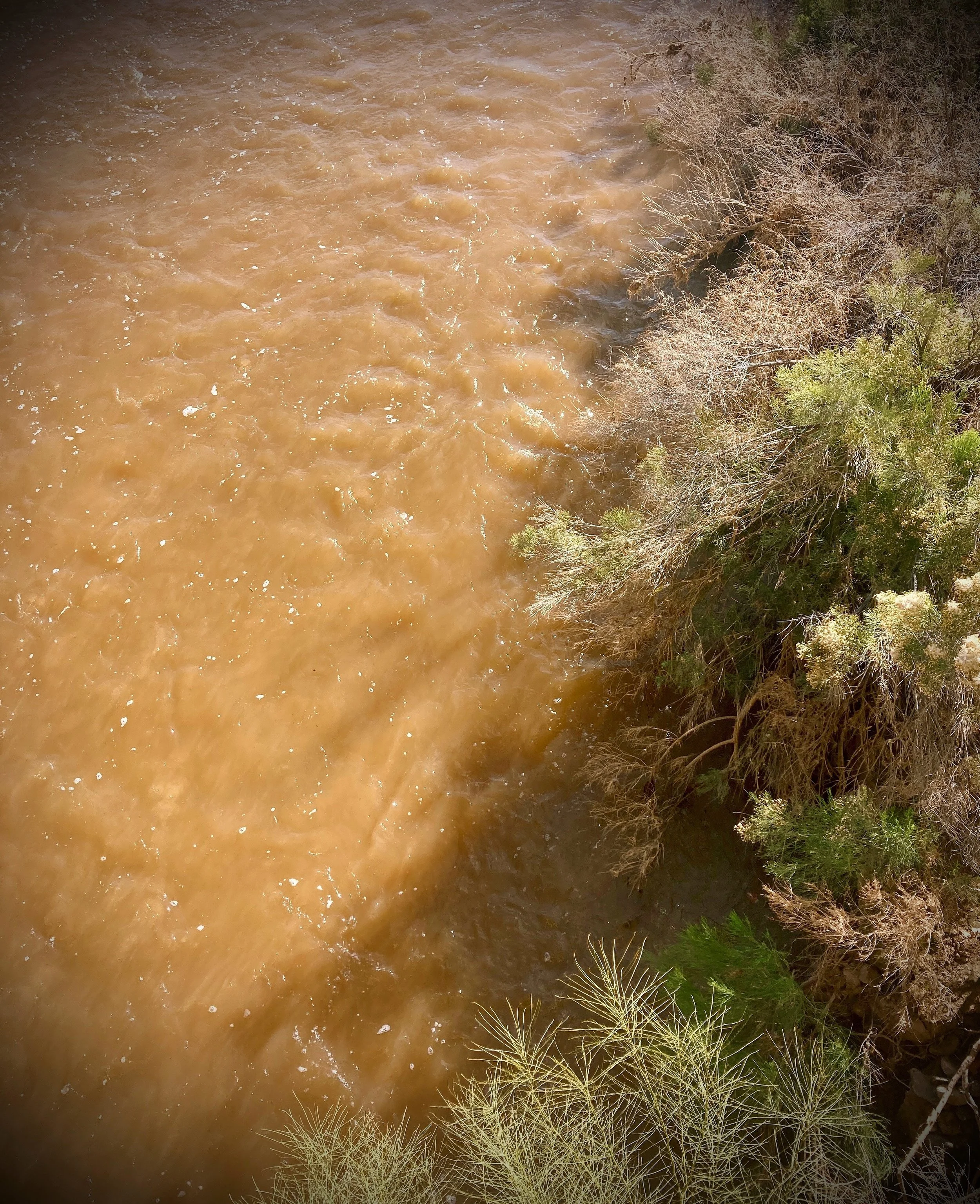 rillito river, tucson, arizona