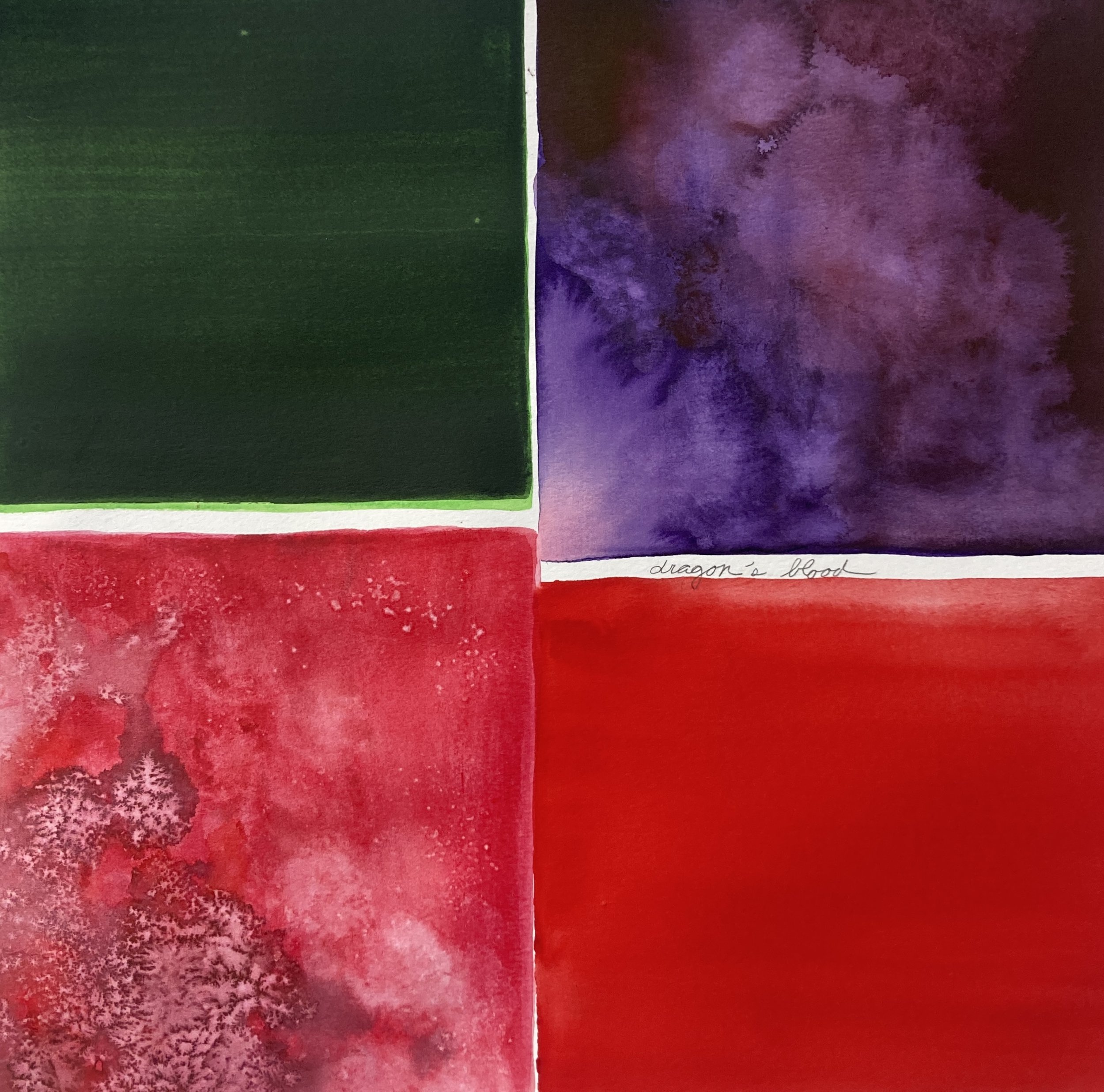 Dragon's blood, water from Annaghmakerrig Lake and watercolor on paper, 15"x15"