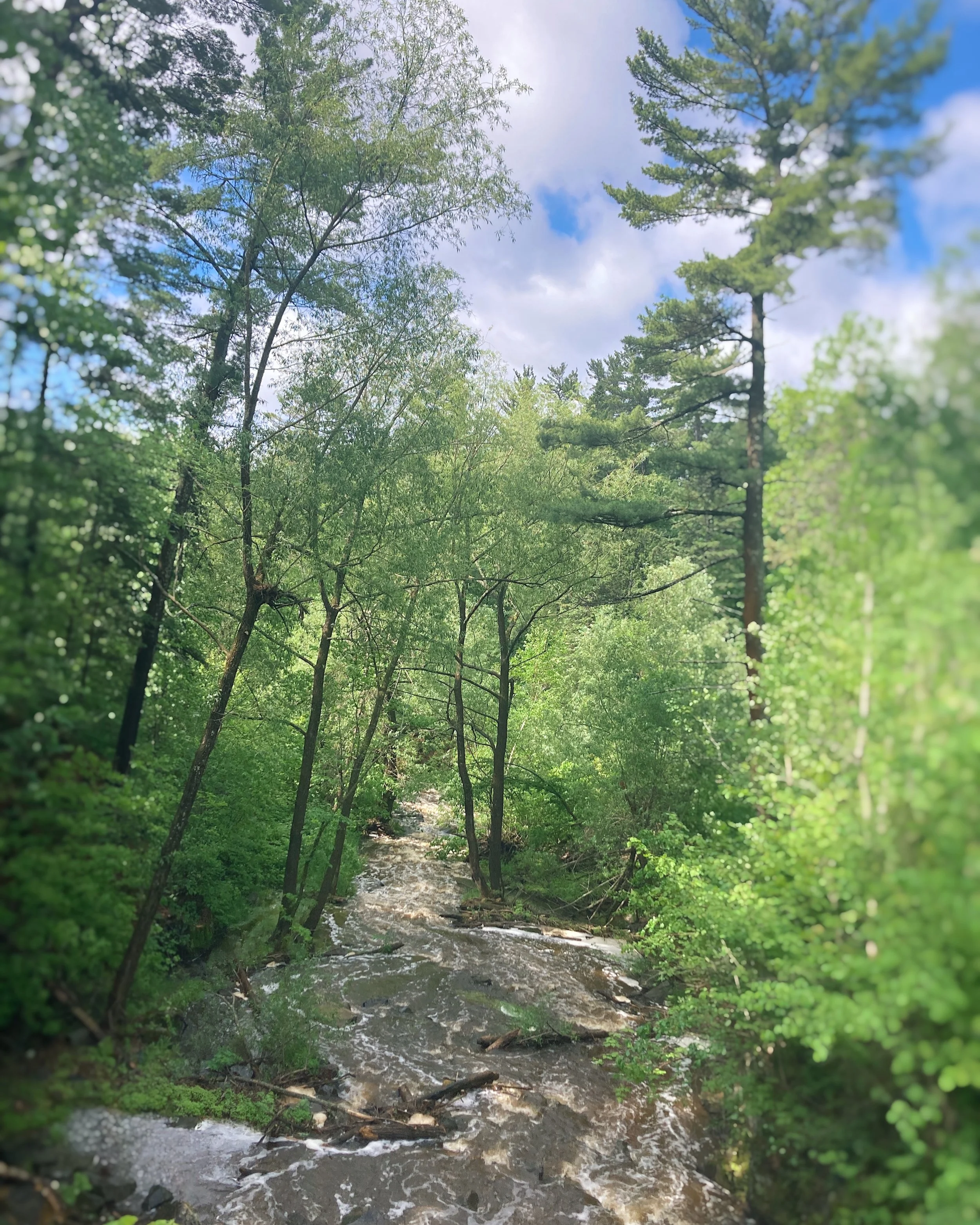 amity creek, duluth, minnesota