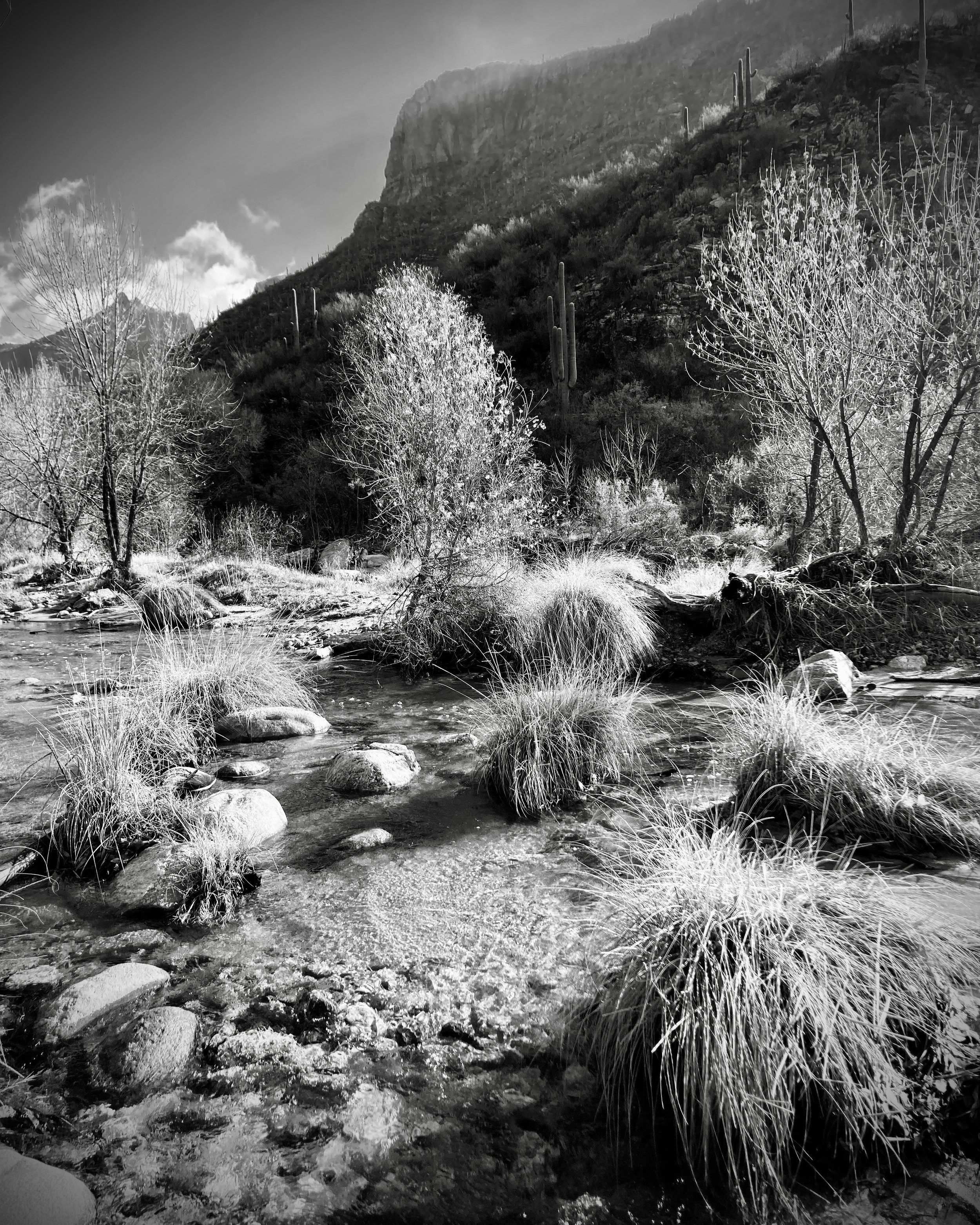 sabino canyon, tucson, arizona