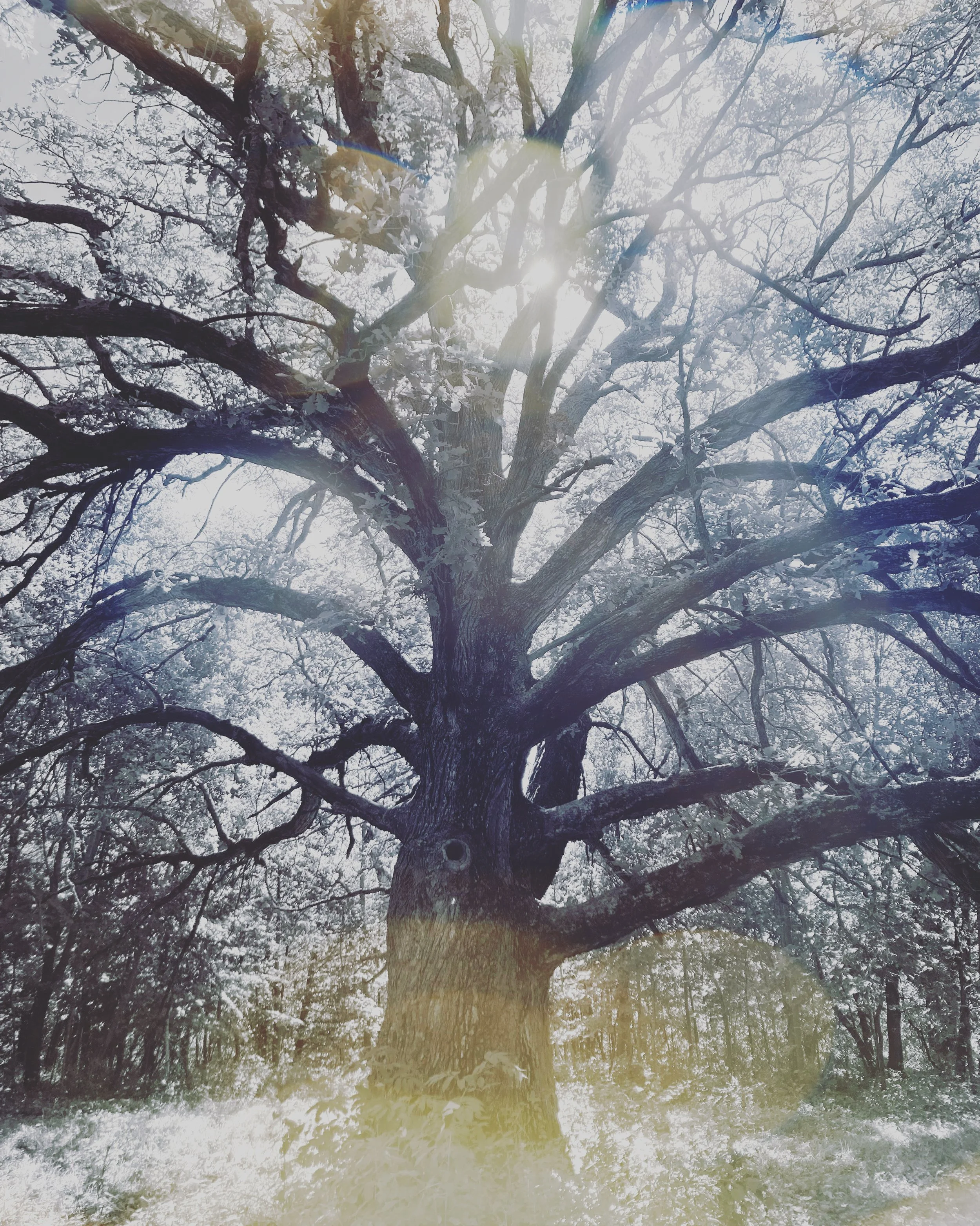 ney nature center, minnesota