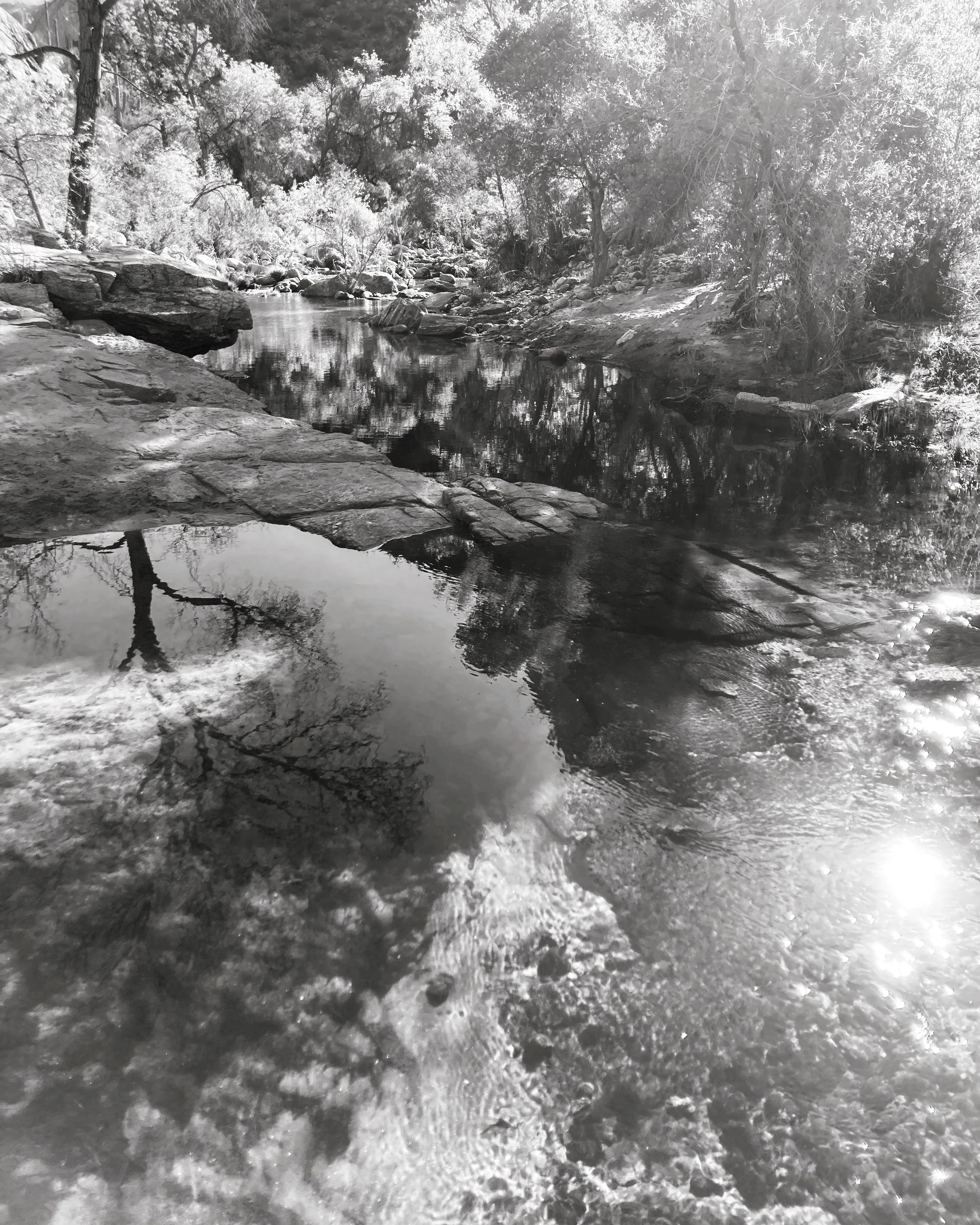 sabino creek, coronado national forest, arizona