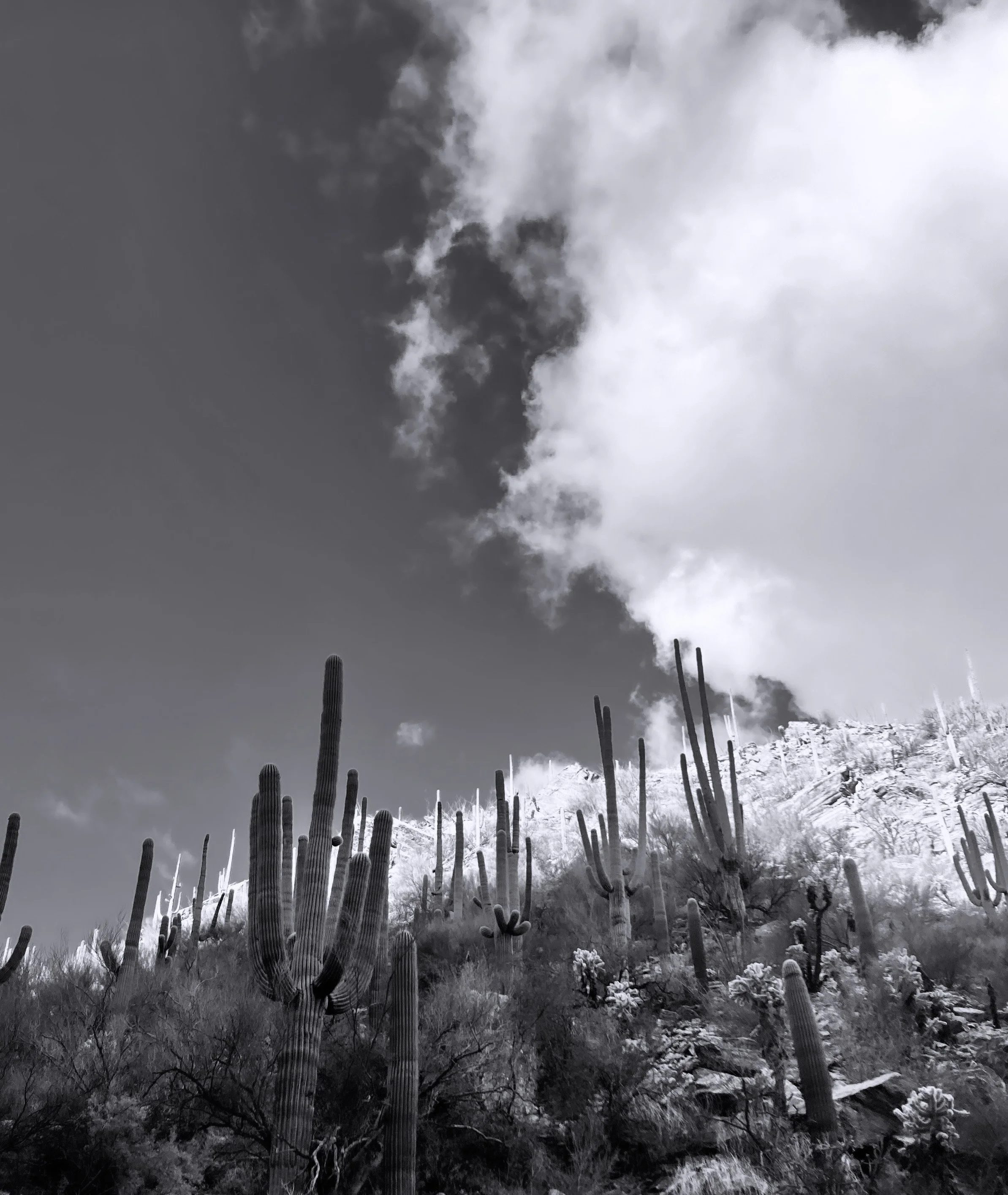 sabino canyon nat'l recreation area, arizona