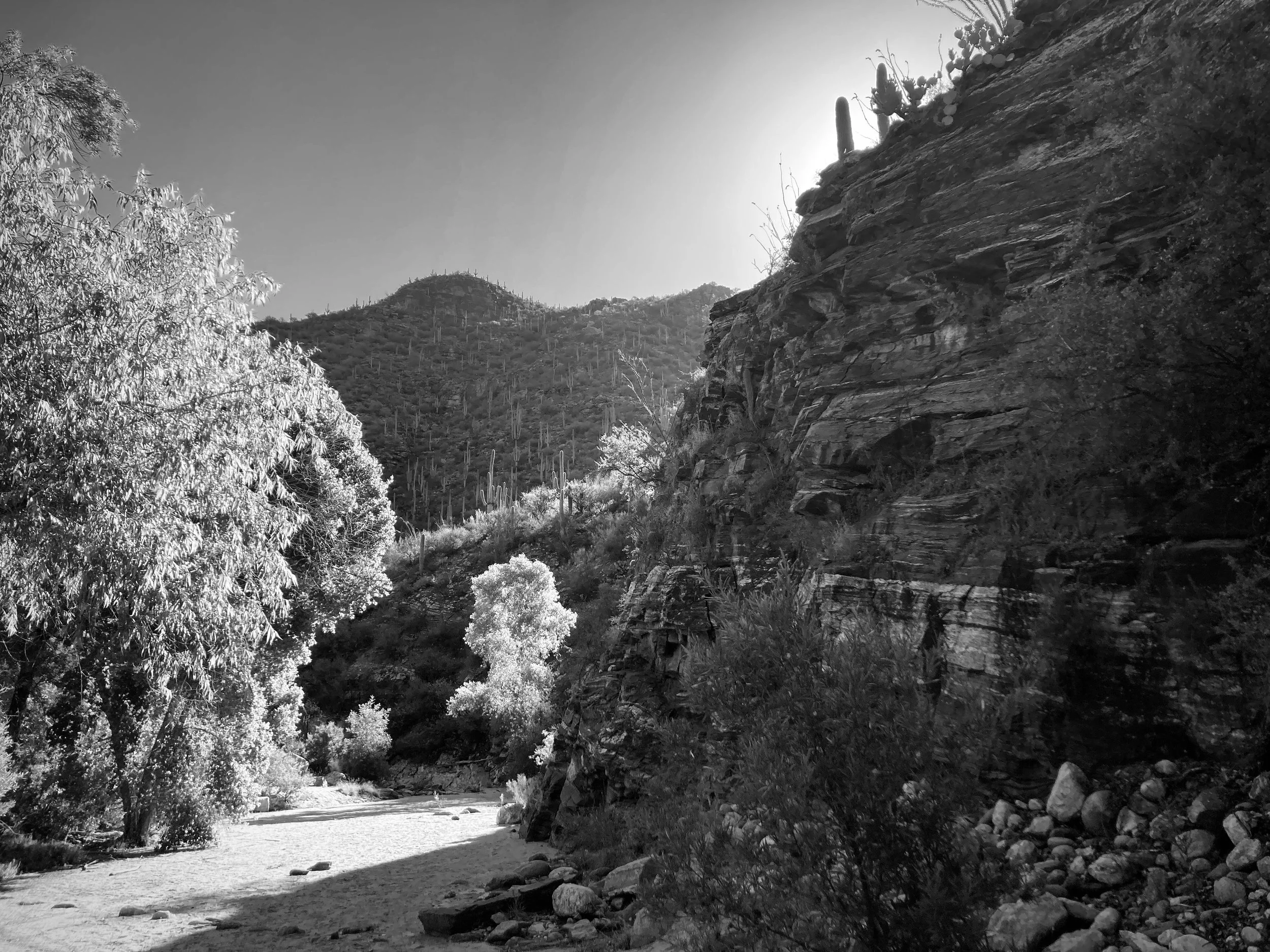 sabino canyon, tucson, arizona