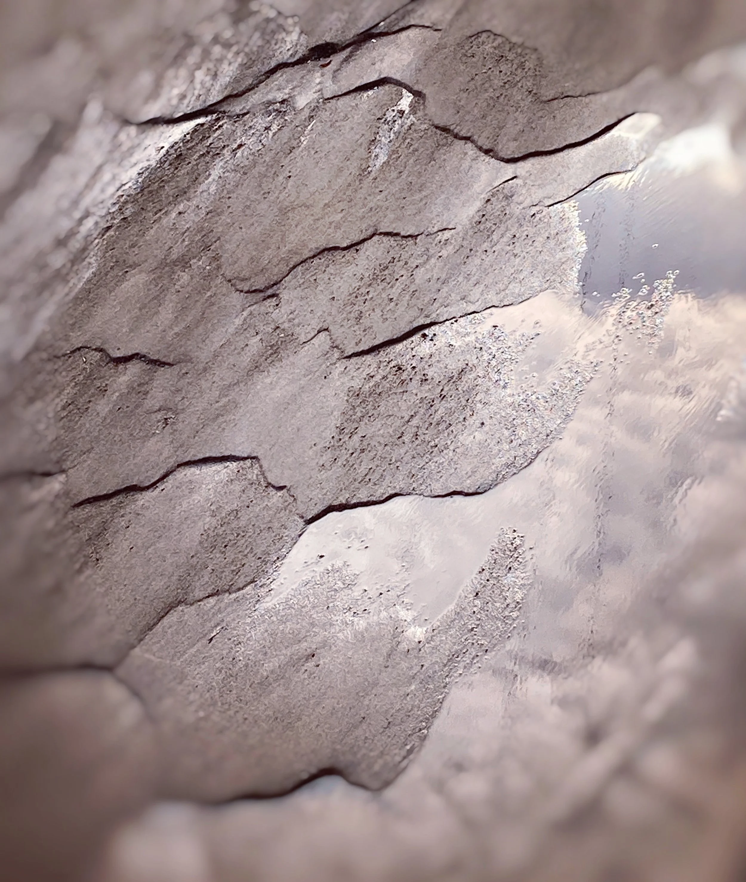 rillito river, tucson, arizona