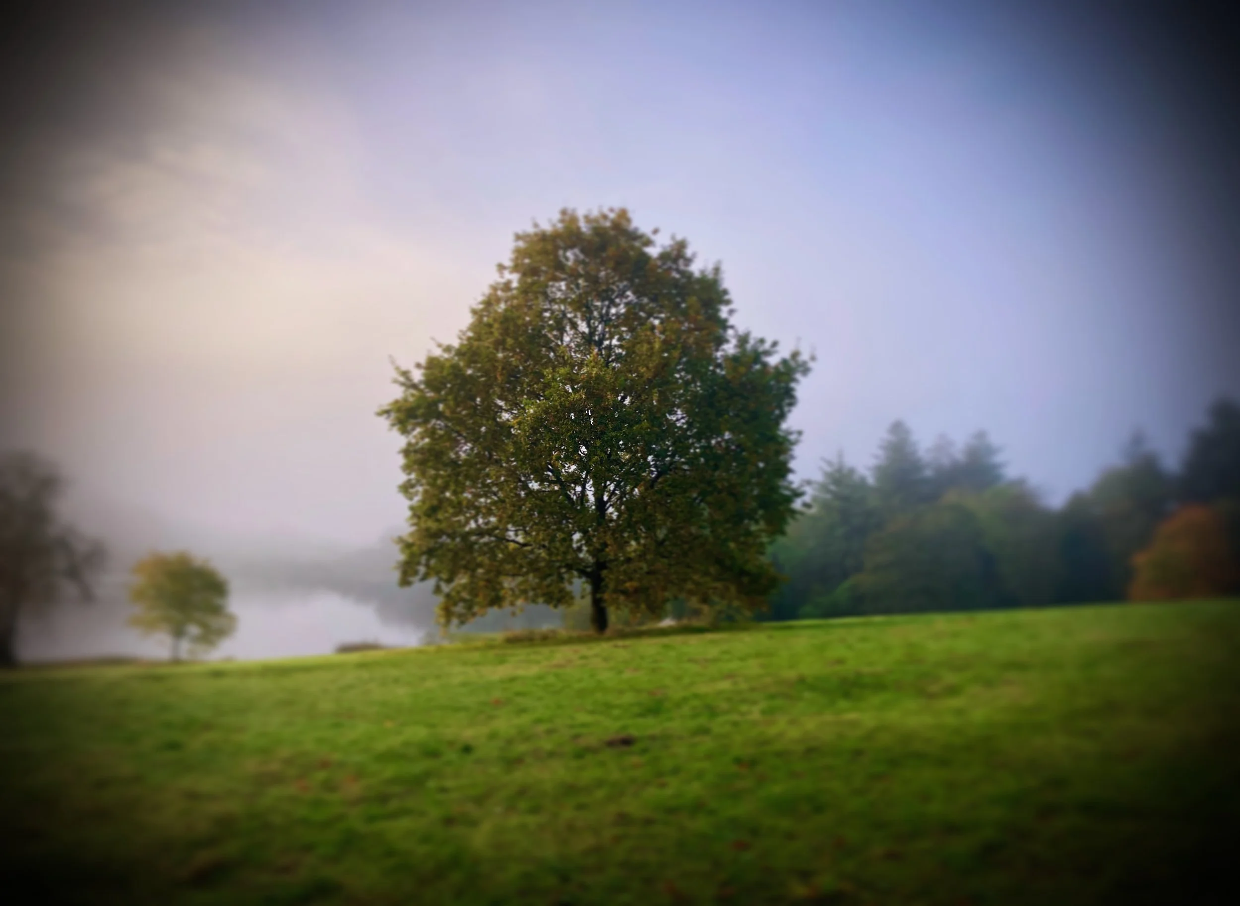 tyrone guthrie center, co. monaghan, ireland