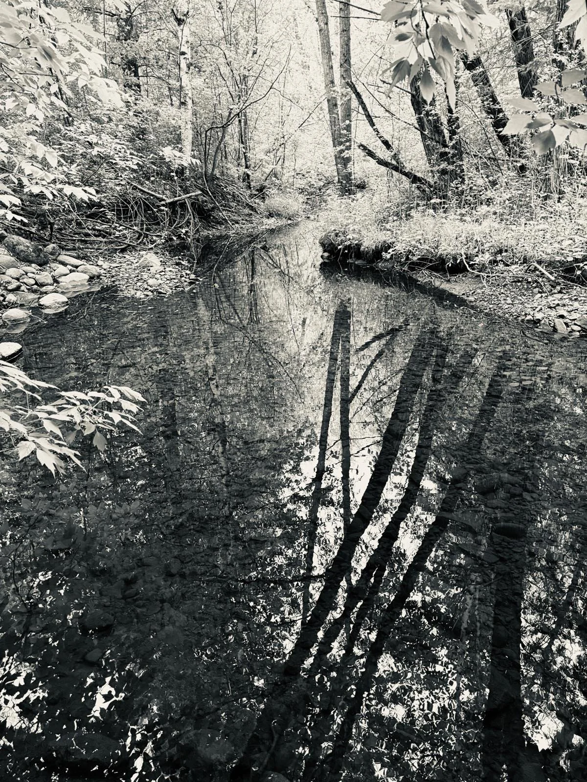 amity creek, duluth, minnesota