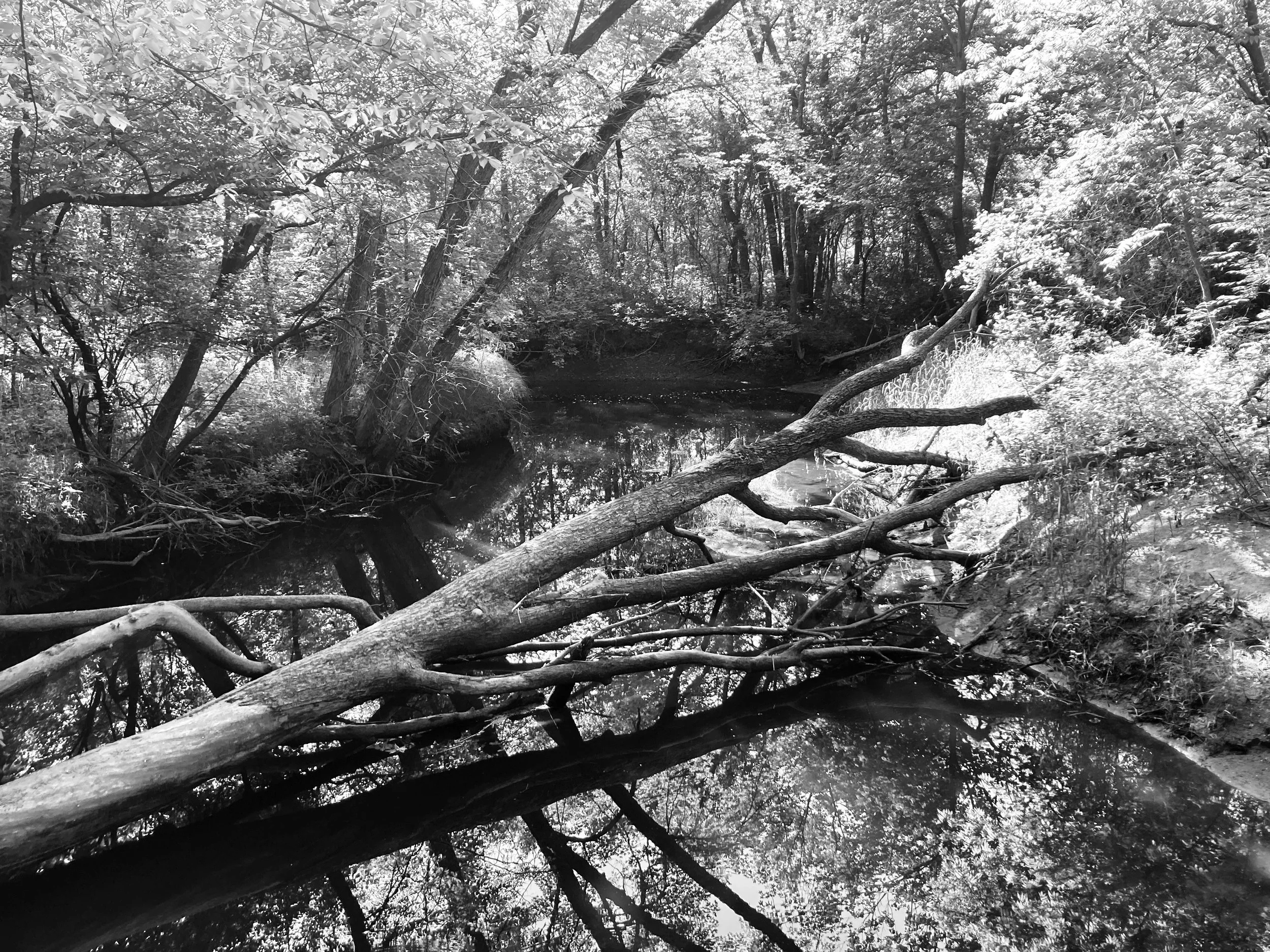 elm creek park reserve, minnesota