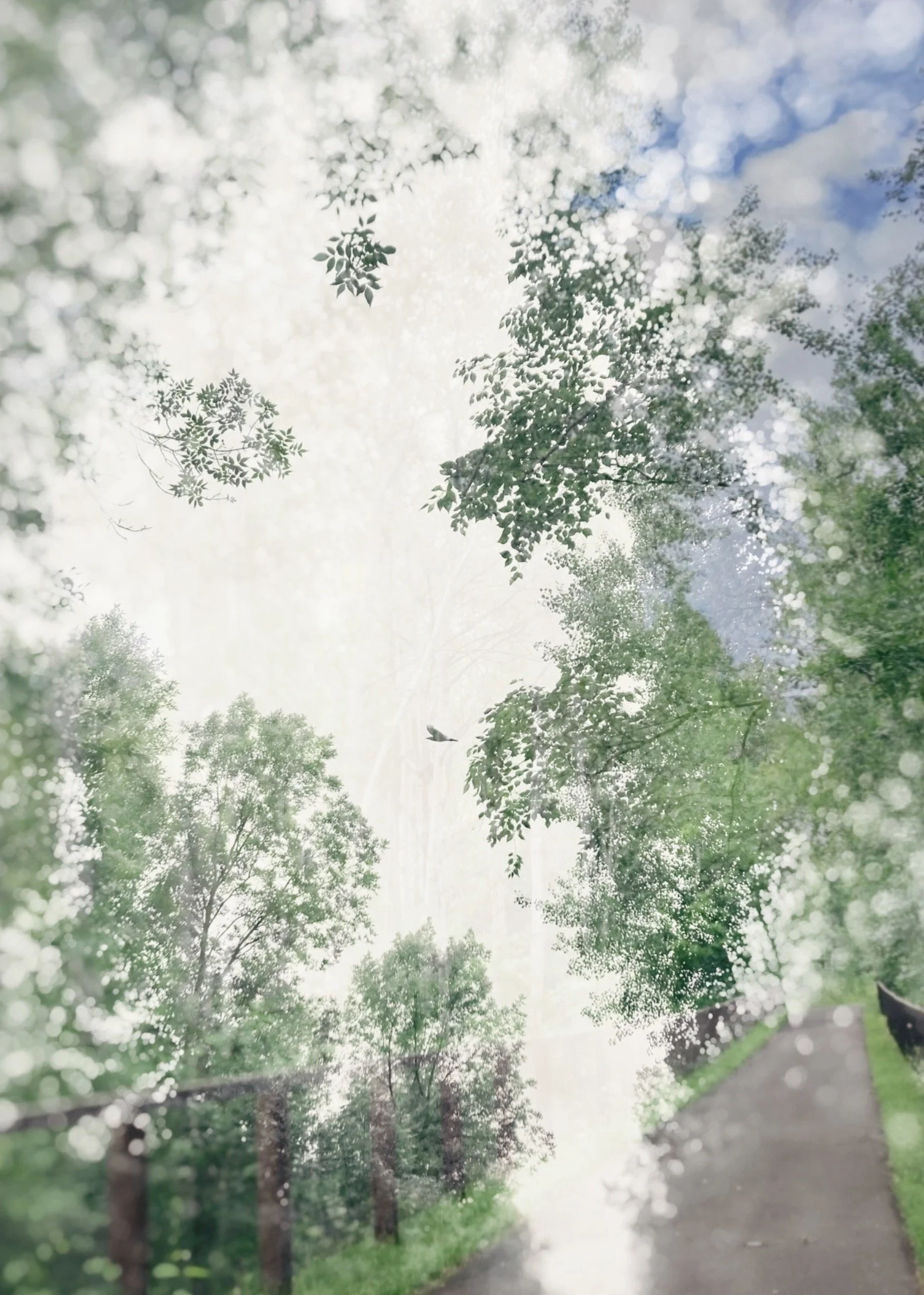 willard munger state trail, duluth, minnesota