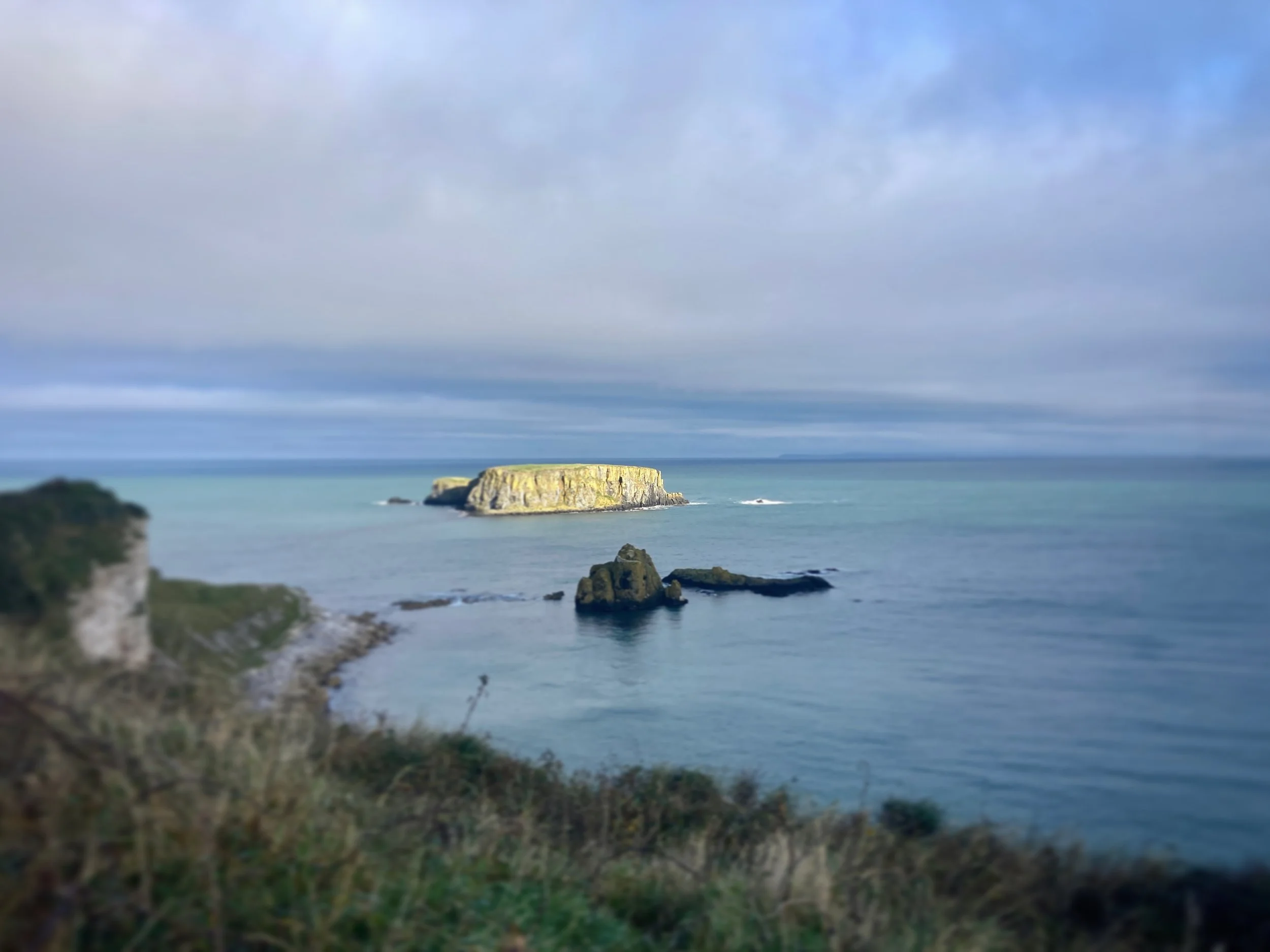 sheep island & the irish sea, northern ireland