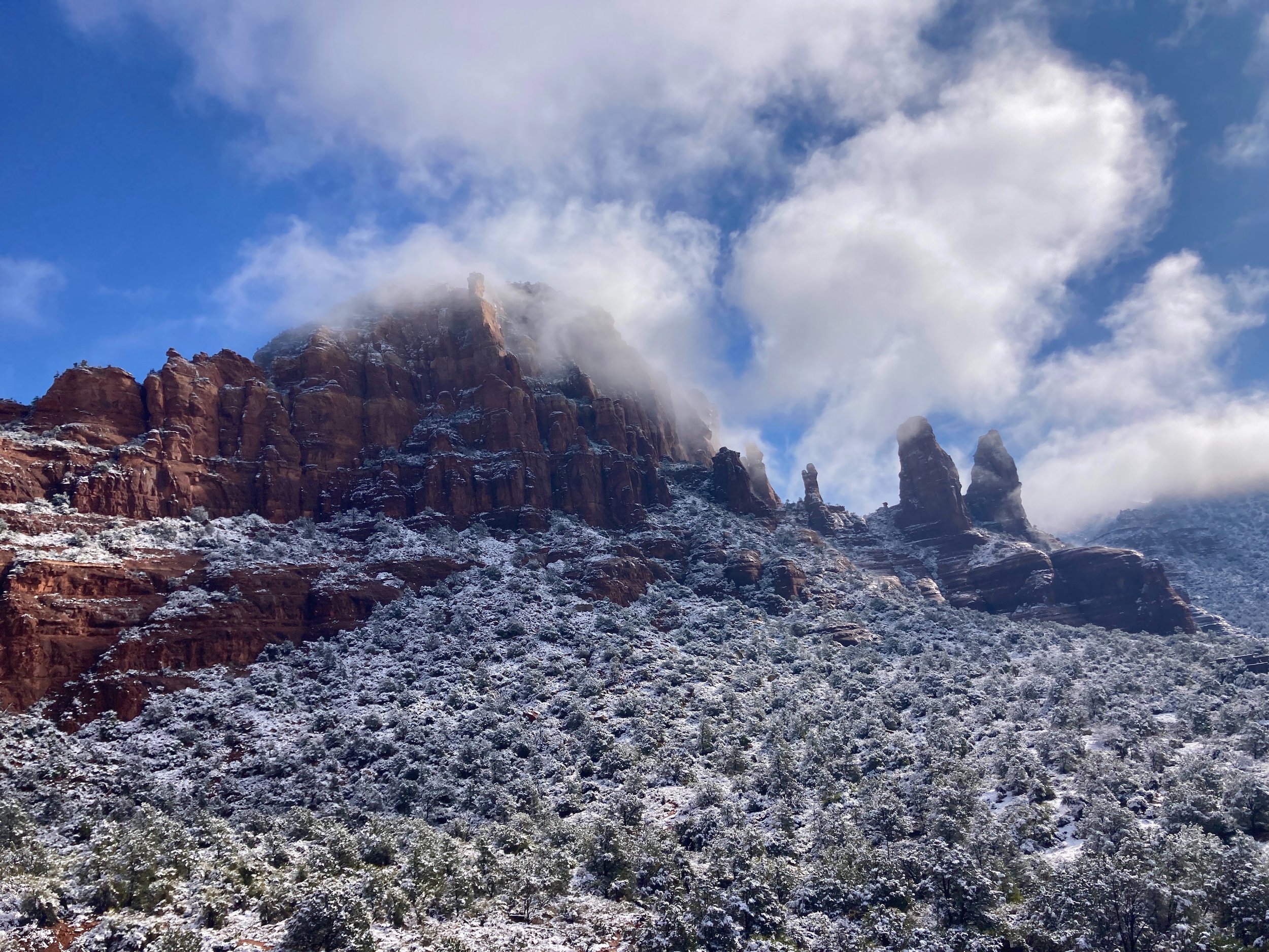 coconino nat'l forest, sedona, arizona