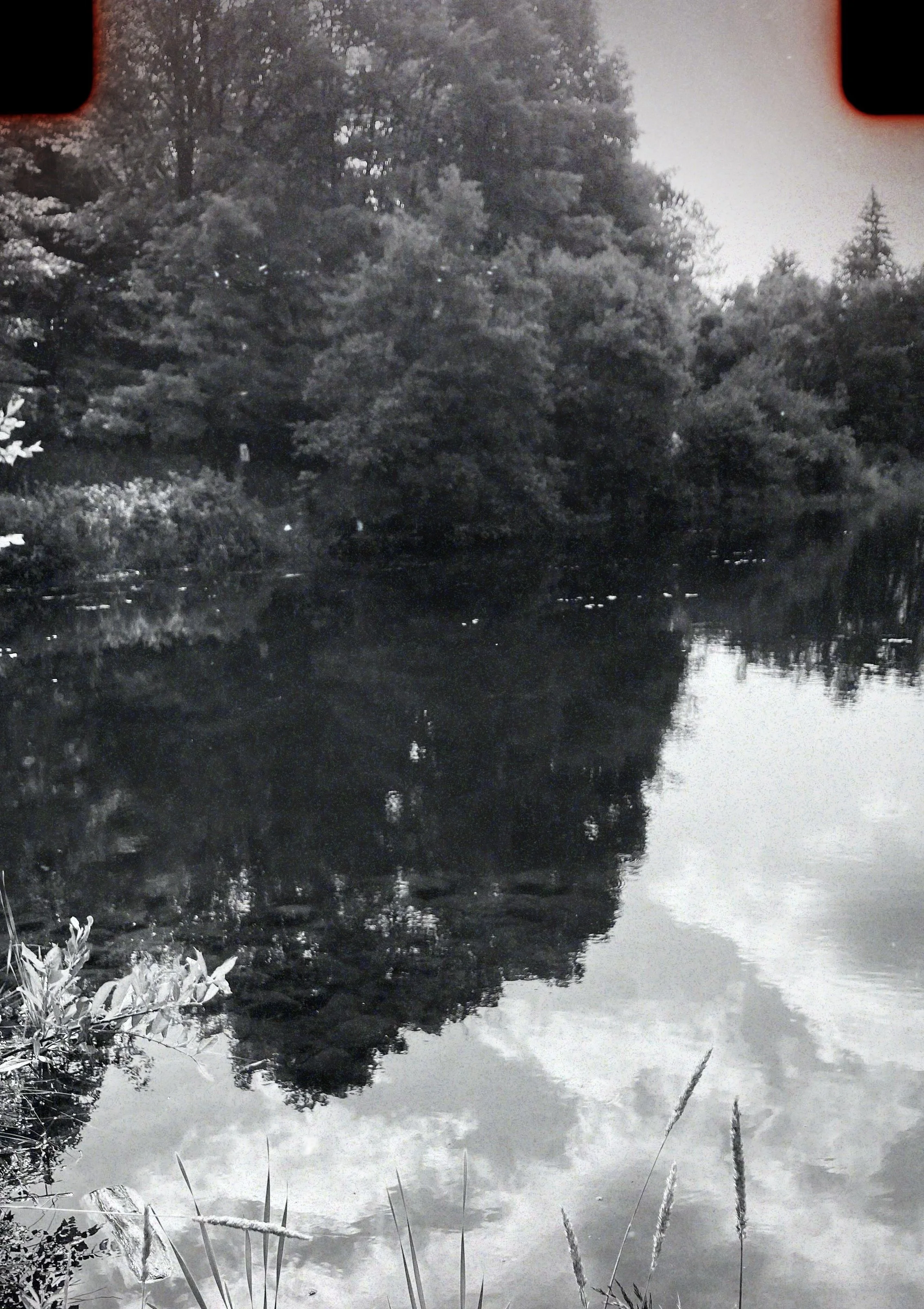 bagley nature area, duluth, minnesota