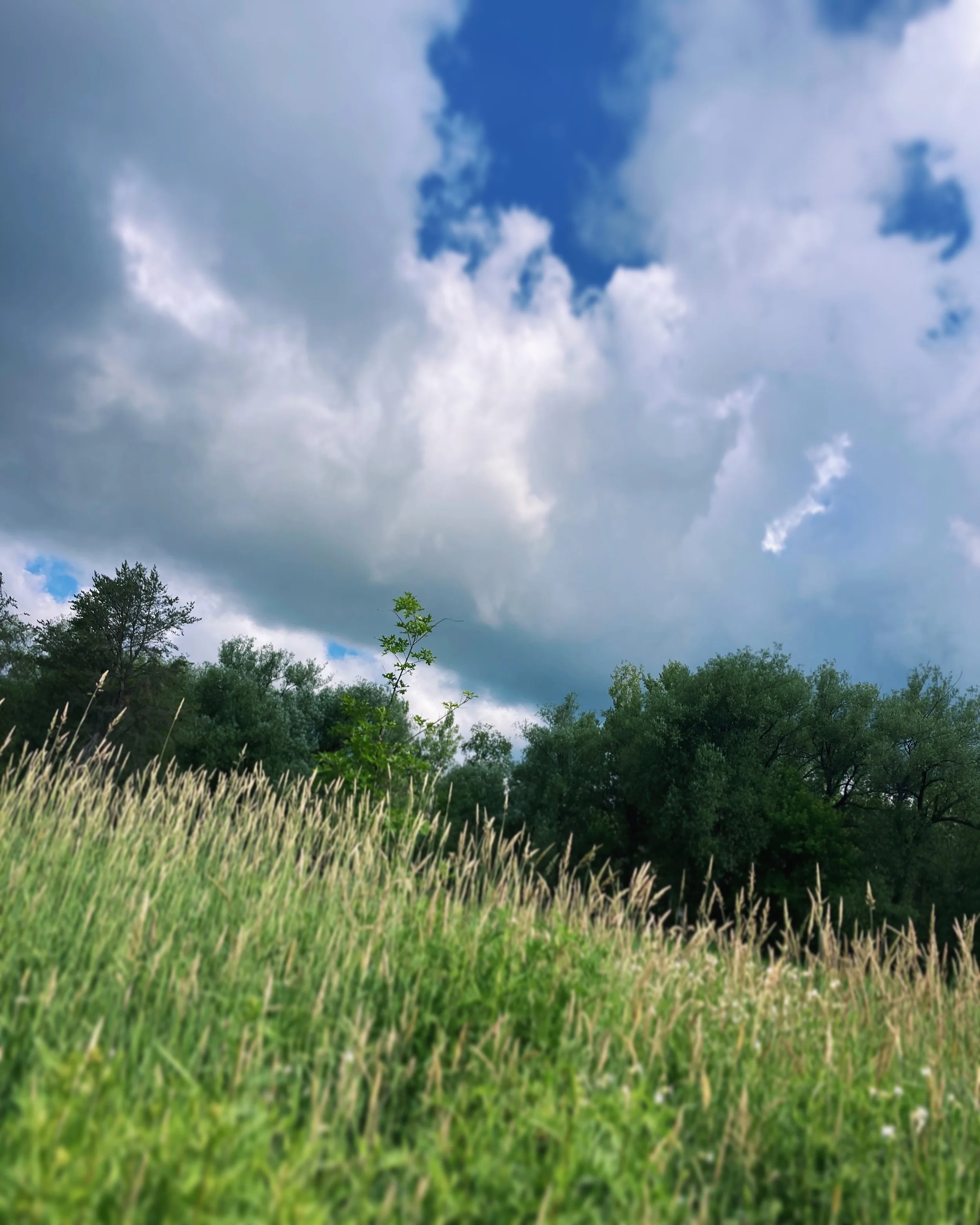 ney nature center, minnesota