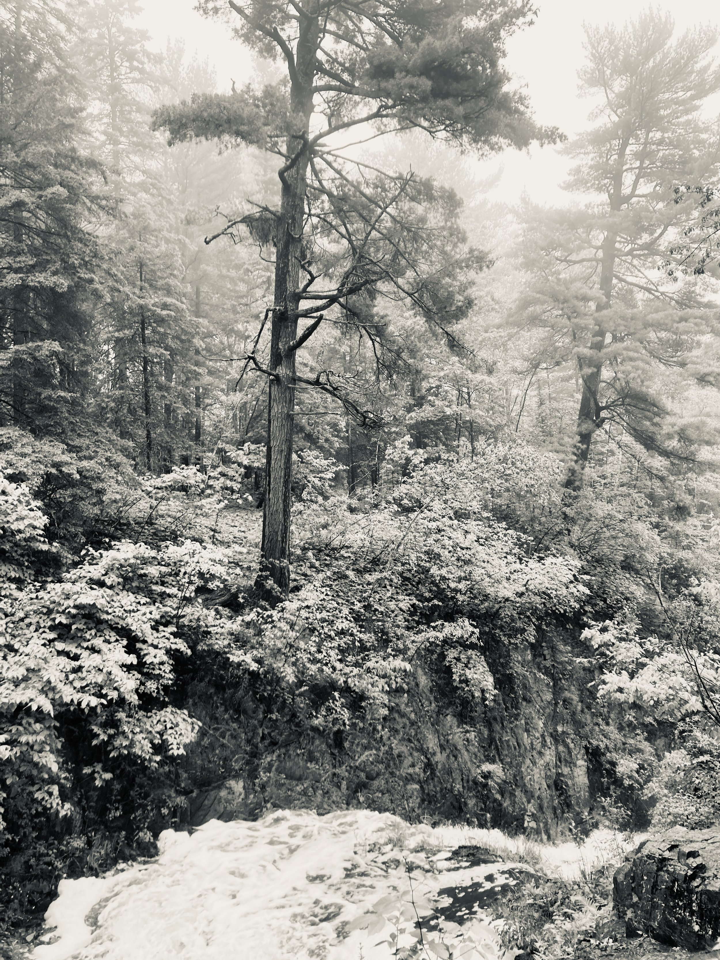 tischer creek, duluth, minnesota