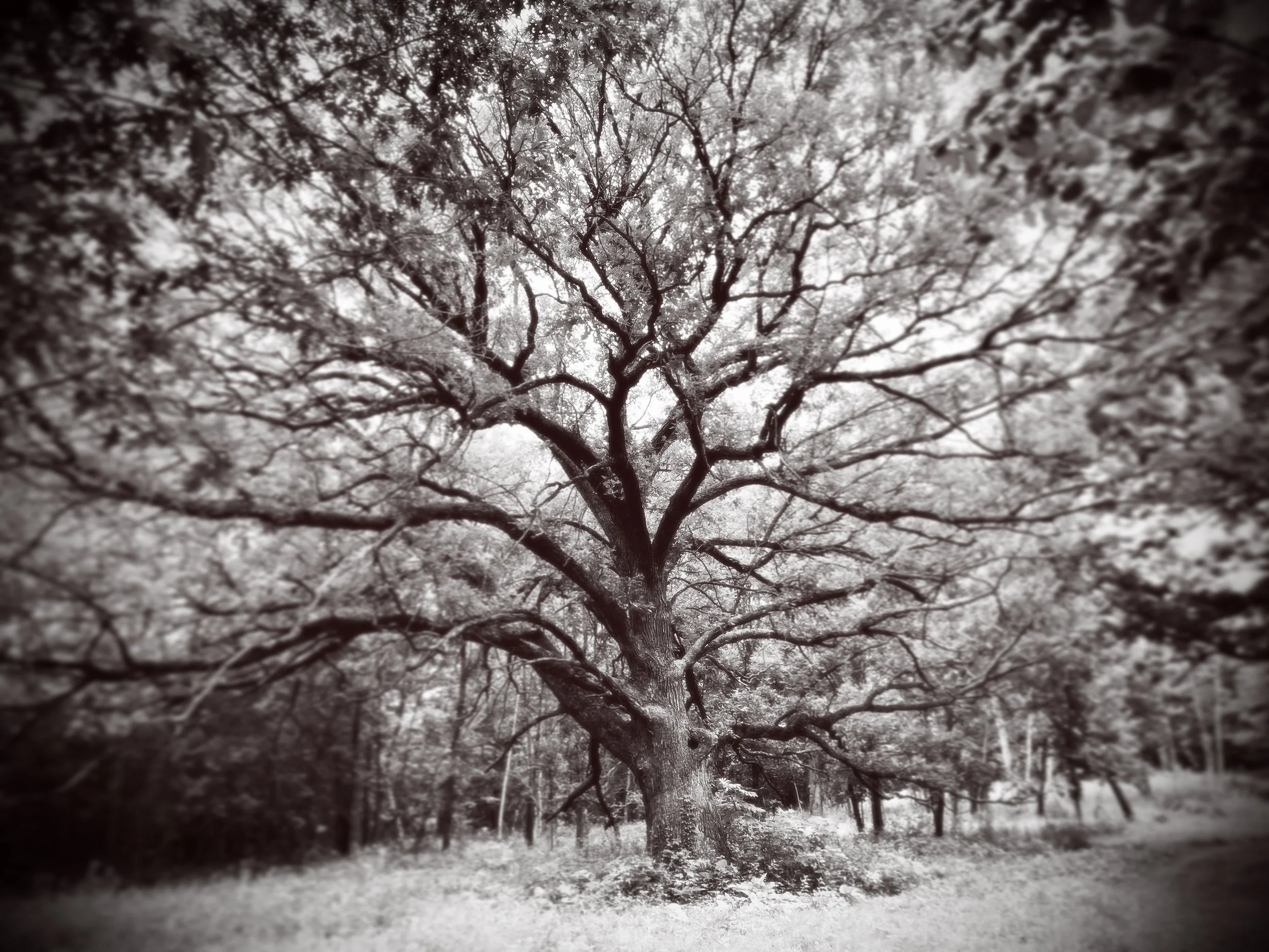 ney nature center, minnesota