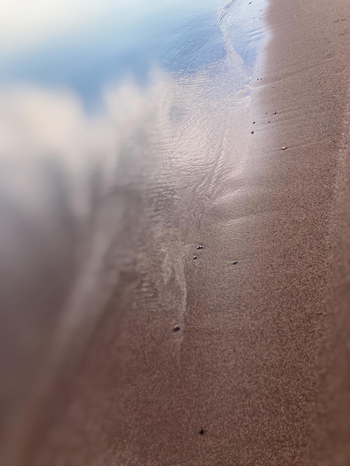 minnesota point scientific & natural area, duluth