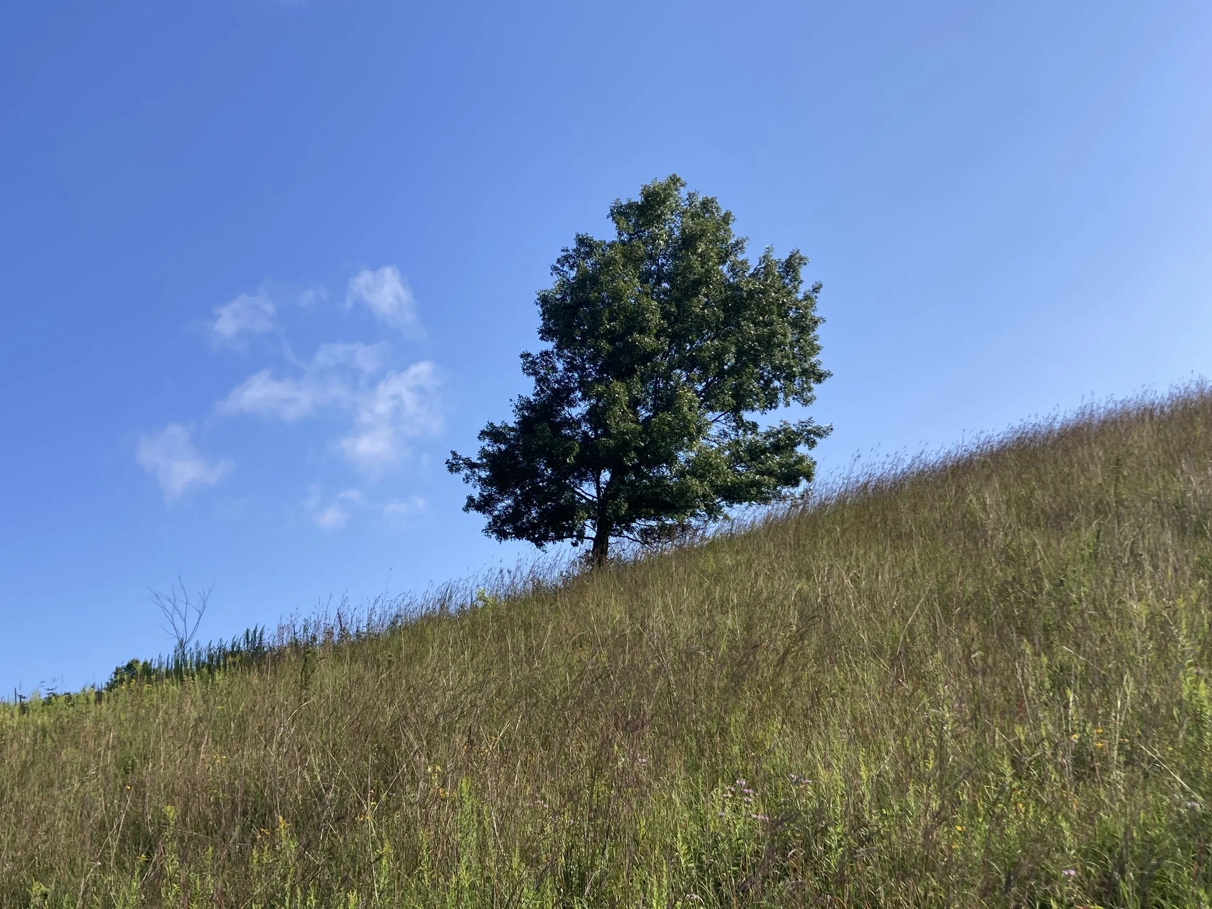 battle creek regional park, minnesota