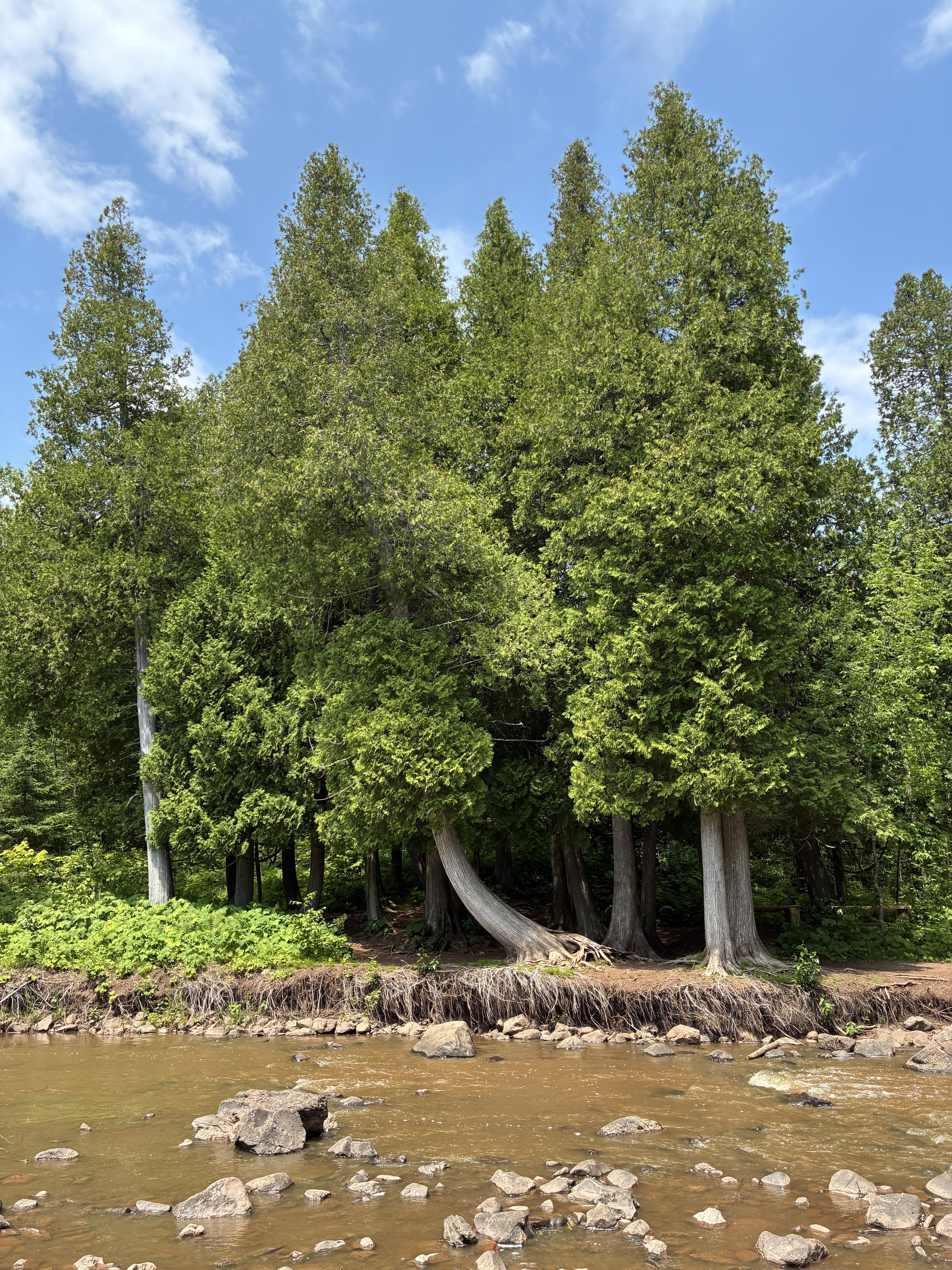 gooseberry falls state park, minnesota