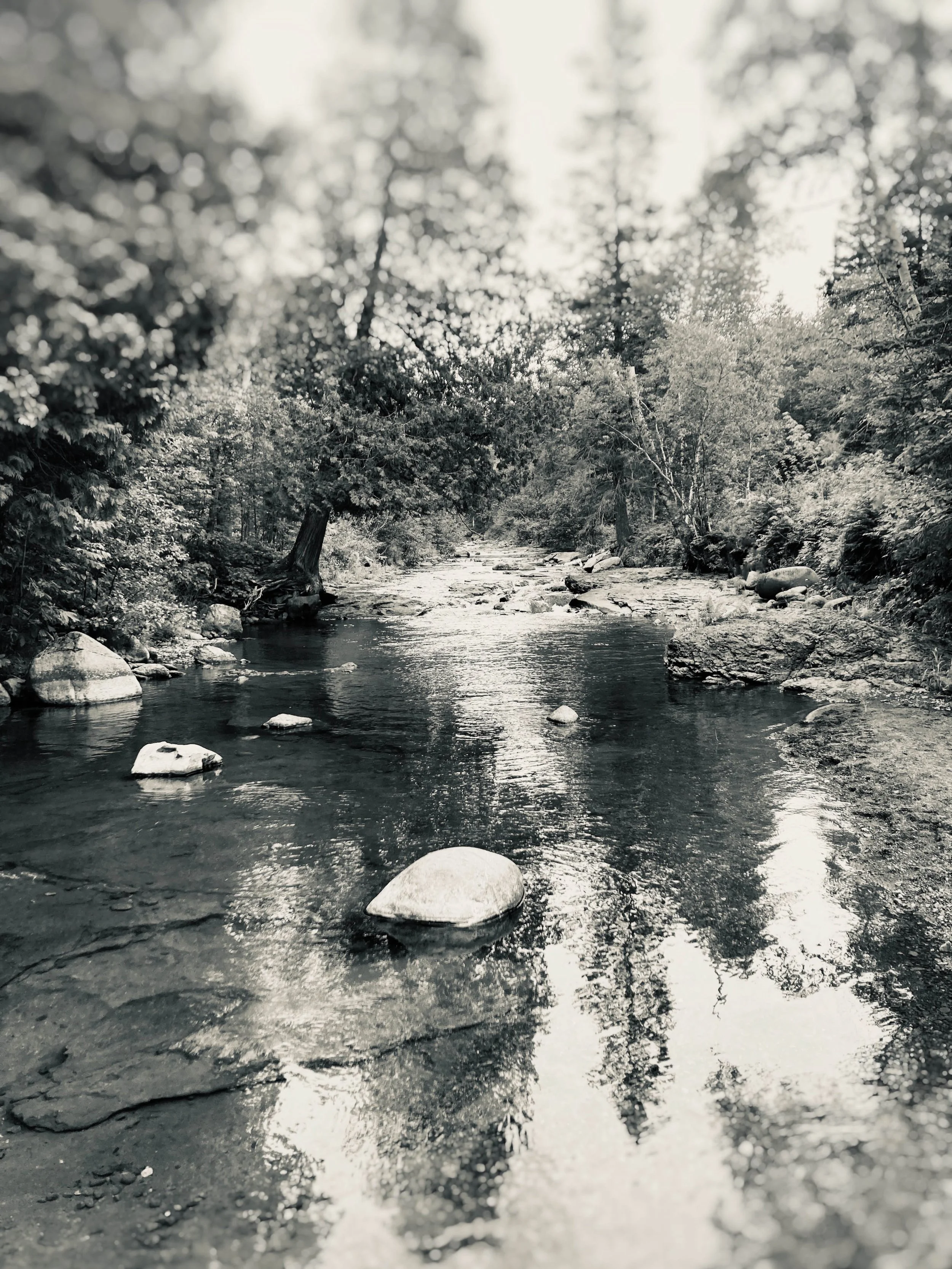 caribou river, silver bay, minnesota