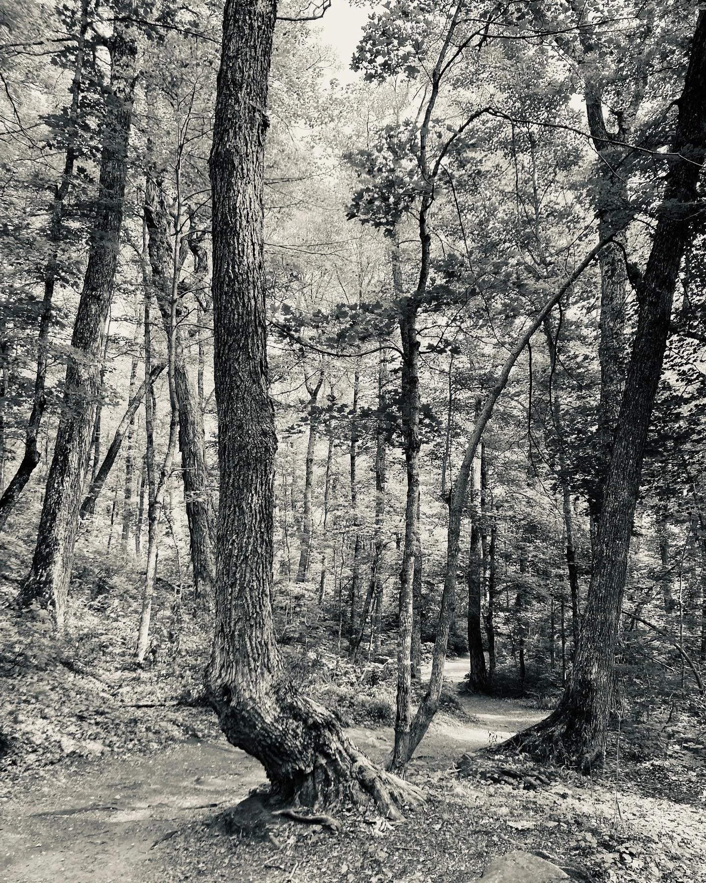 porcupine mountains state park, michigan