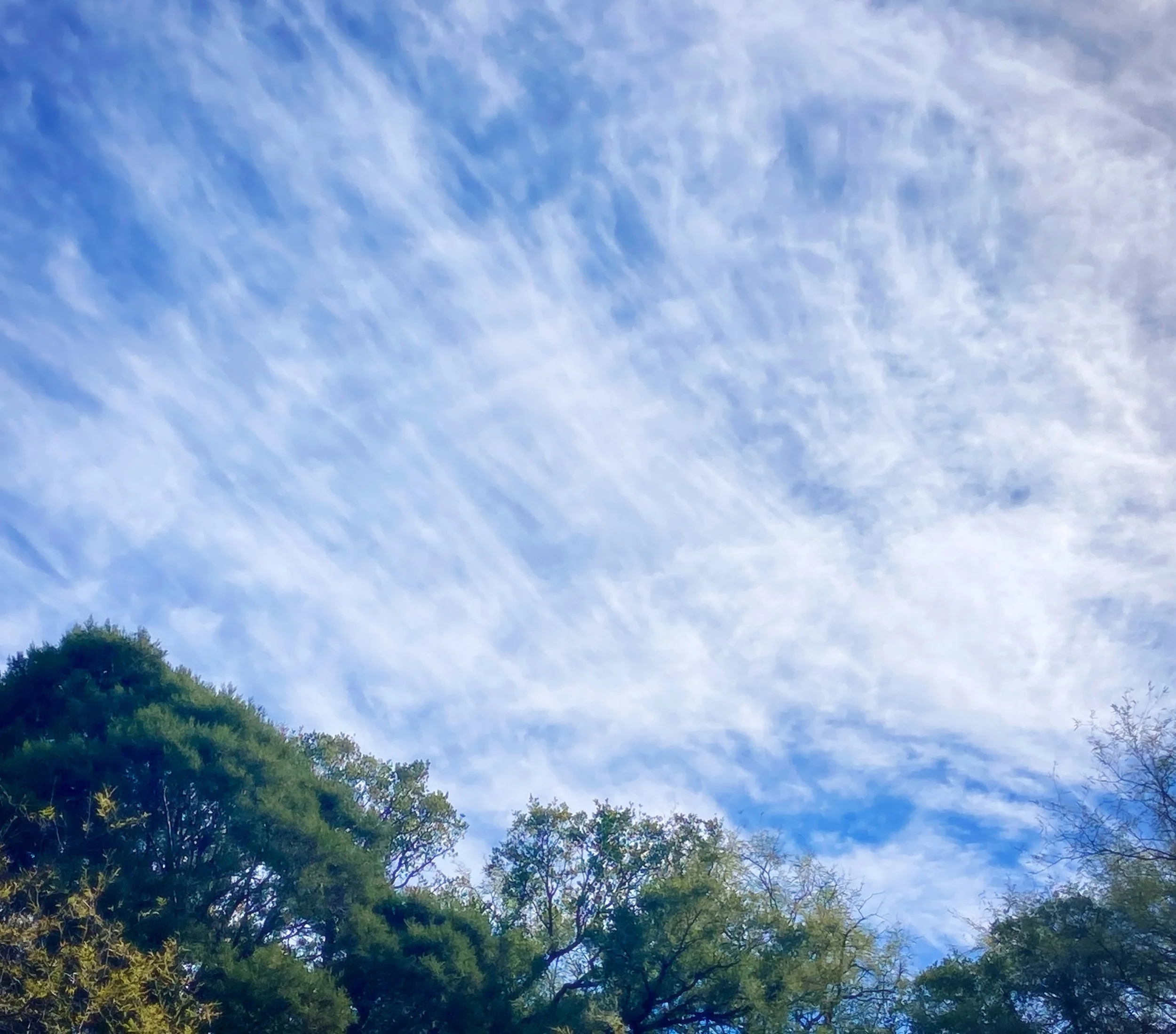madera canyon, coronado national forest, arizona