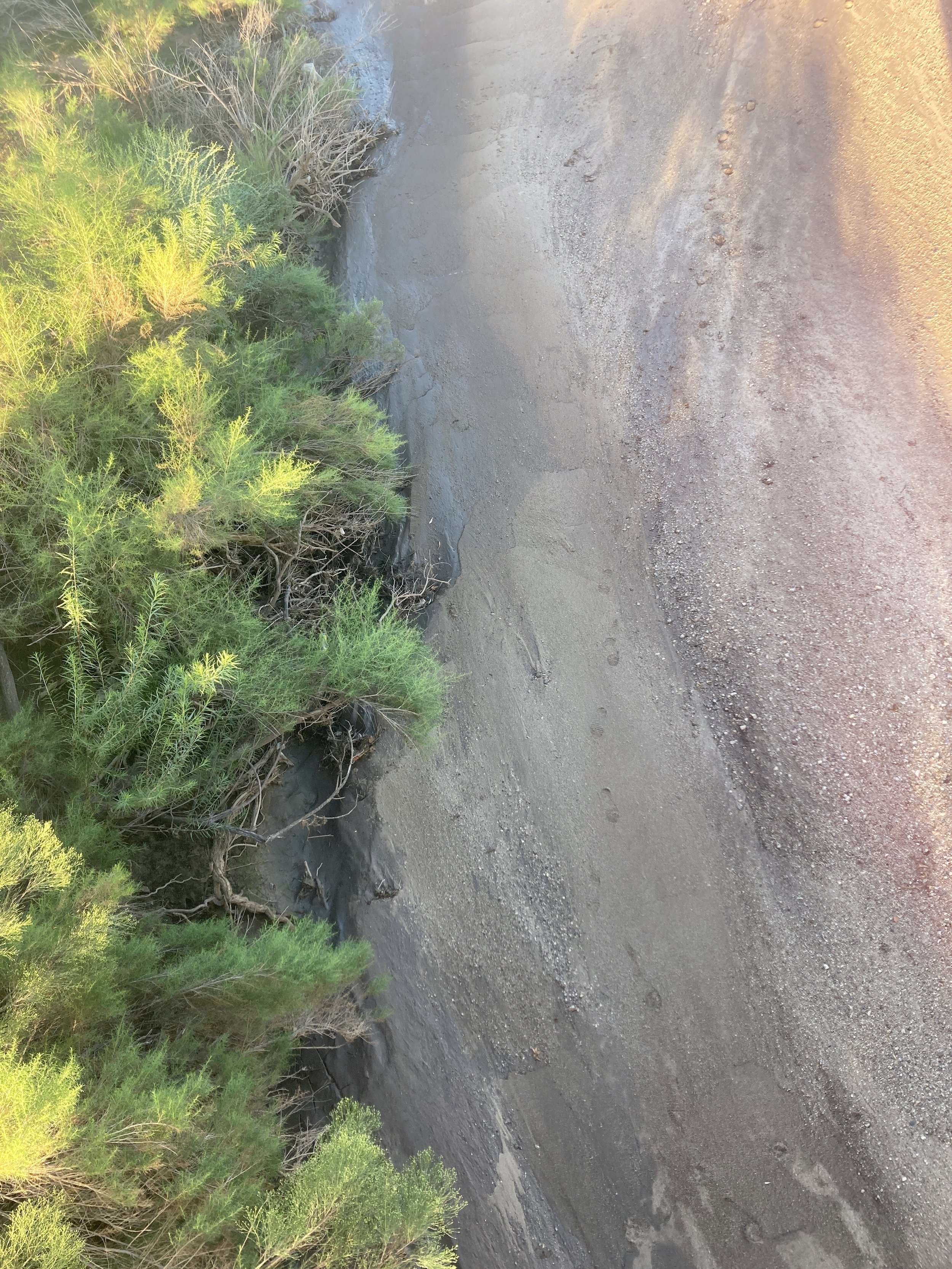 rillito river bed, tucson, arizona
