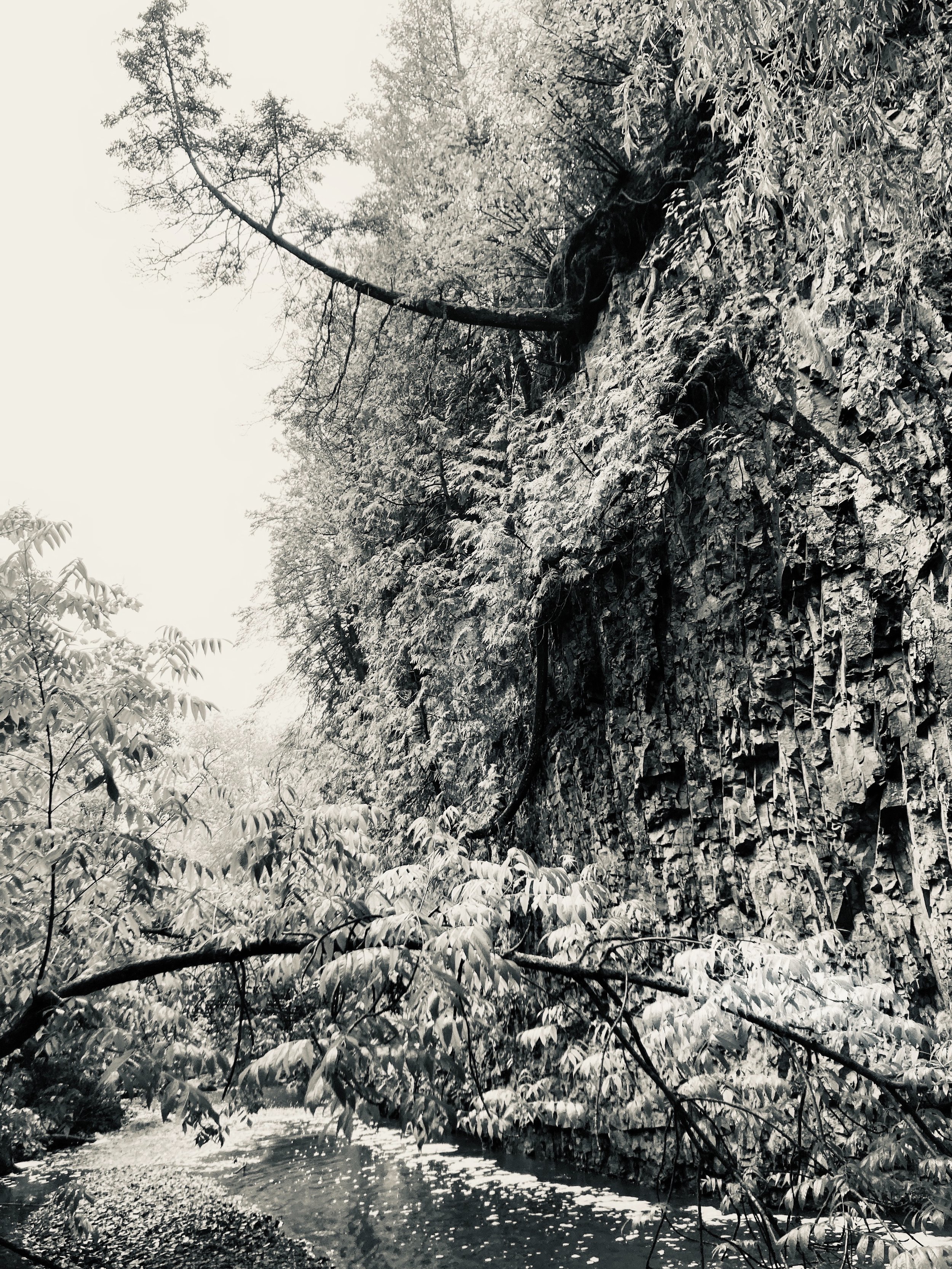 tischer creek, duluth, minnesota