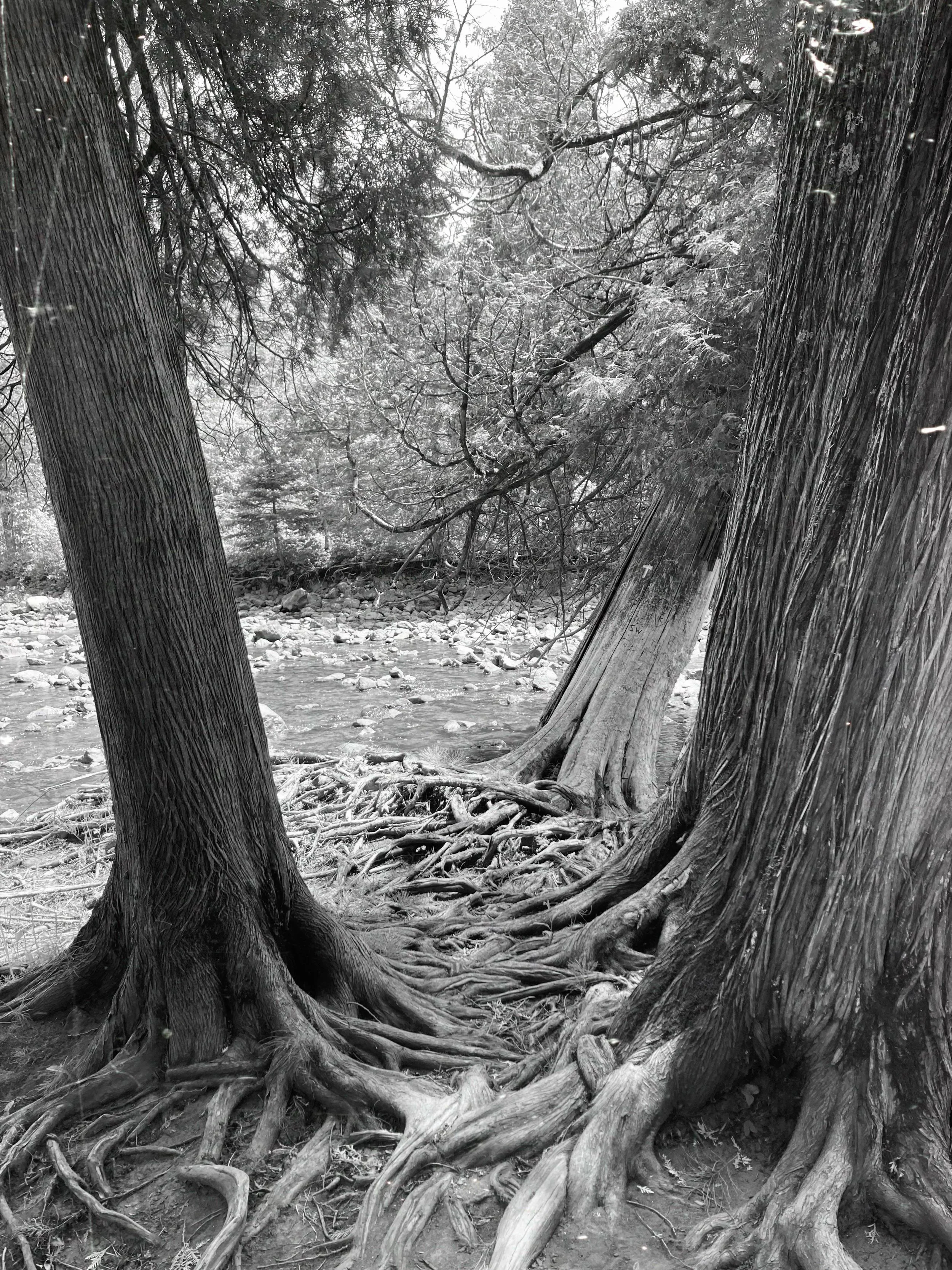 gooseberry falls state park, minnesota