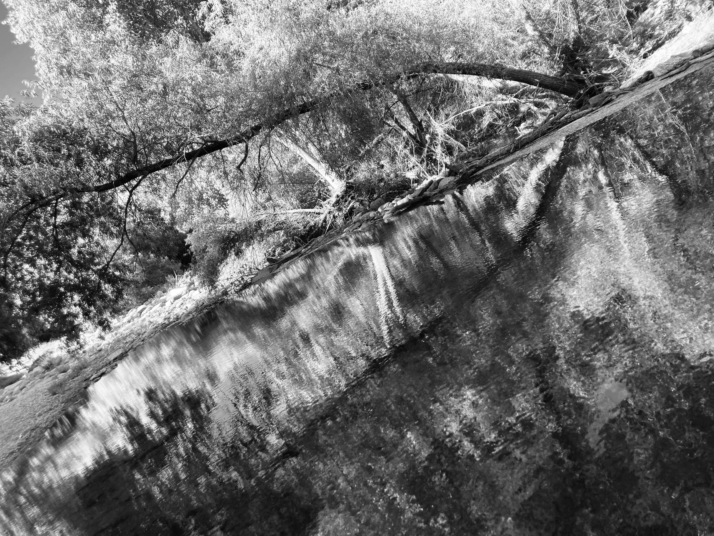 sabino creek, tucson, arizona