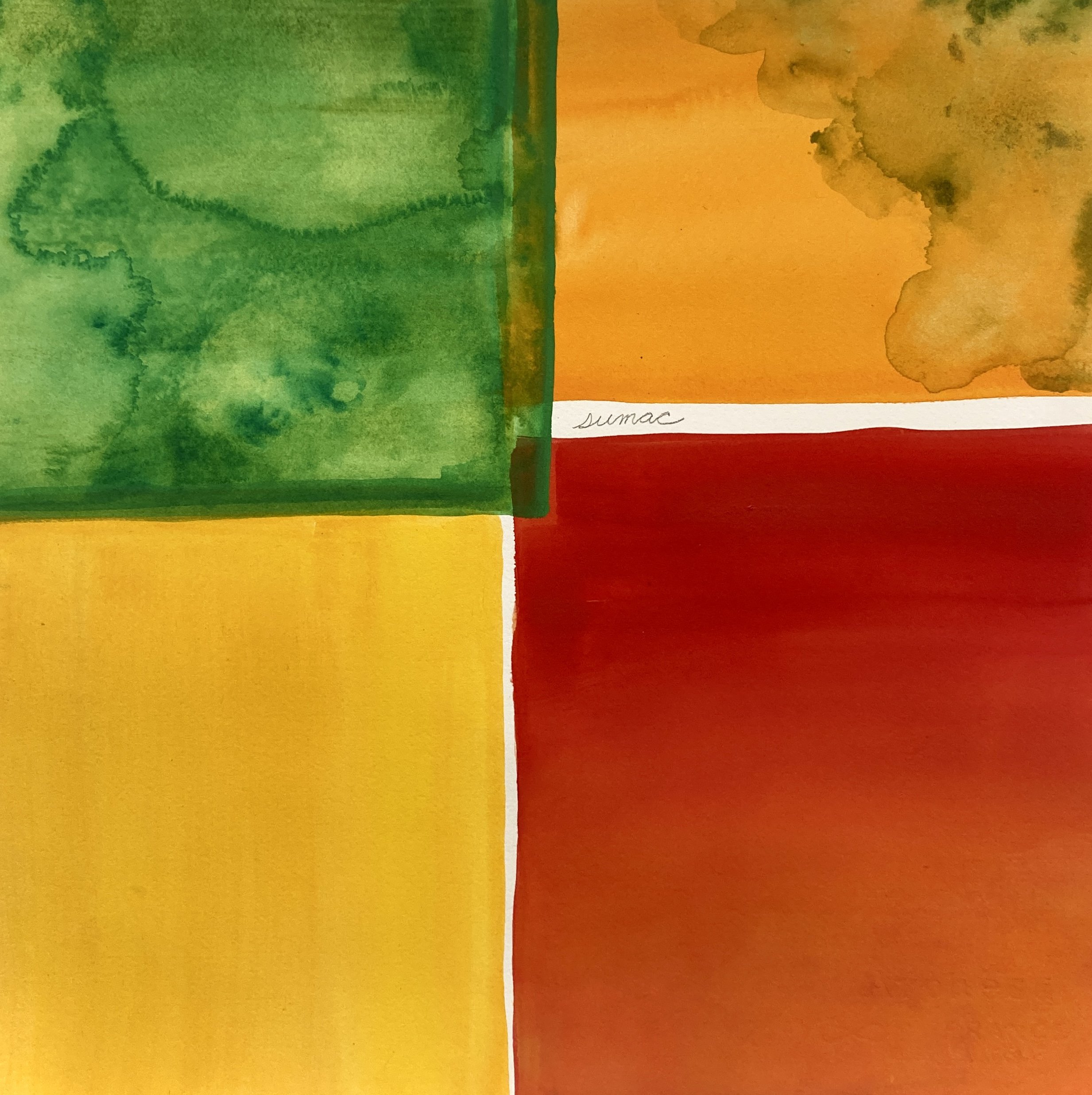 Sumac, water from Annaghmakerrig Lake and watercolor on paper