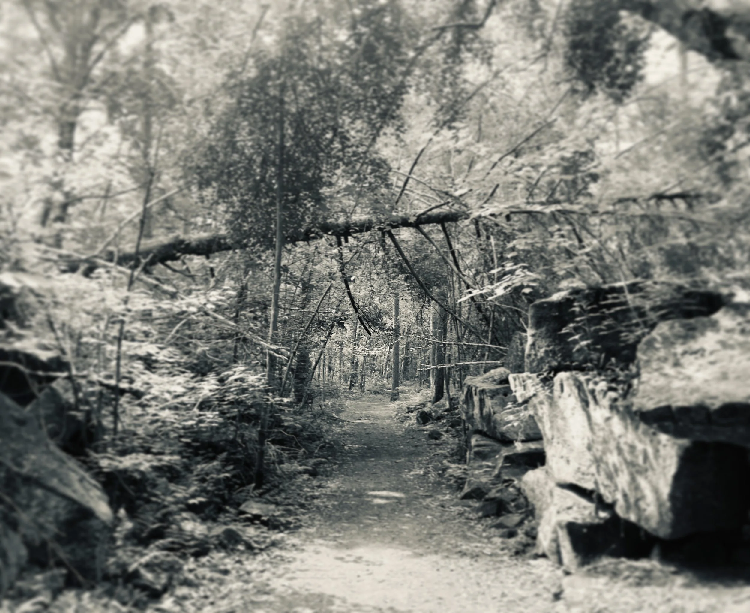 banning state park, minnesota