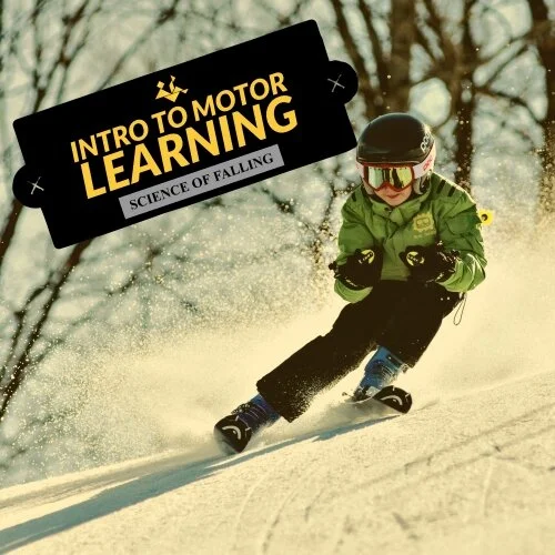Intro to Motor Learning — Science of Falling