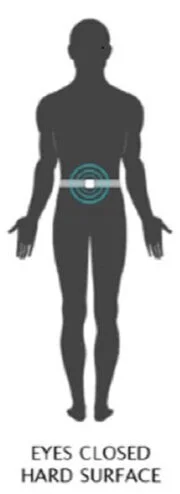 Modified Clinical Test of Sensory Interaction in Balance (CTSIB-M ...