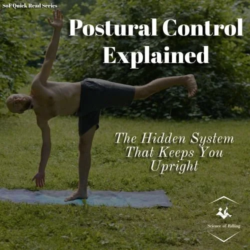 Postural Control Explained: The Hidden System That Keeps You Upright