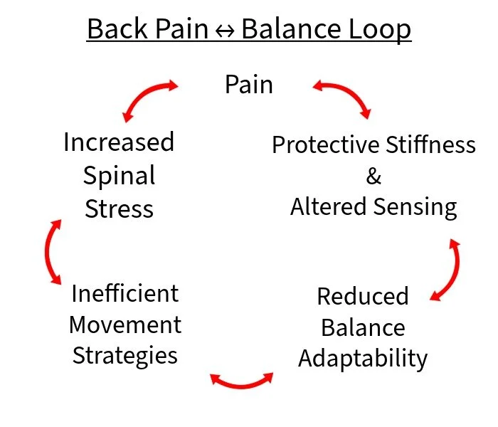 back pain balance loop infographic