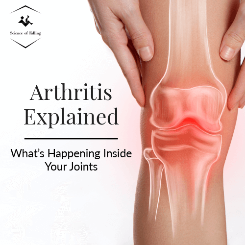 Image with knee joint red as if swollen with title of blog post next to it in black writing "Arthritis Explained: What's Happening Inside Your Joints"