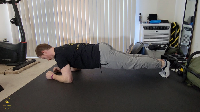 Plank Example Picture Strength and Balance Training for Runners: Actionable Exercises You ...